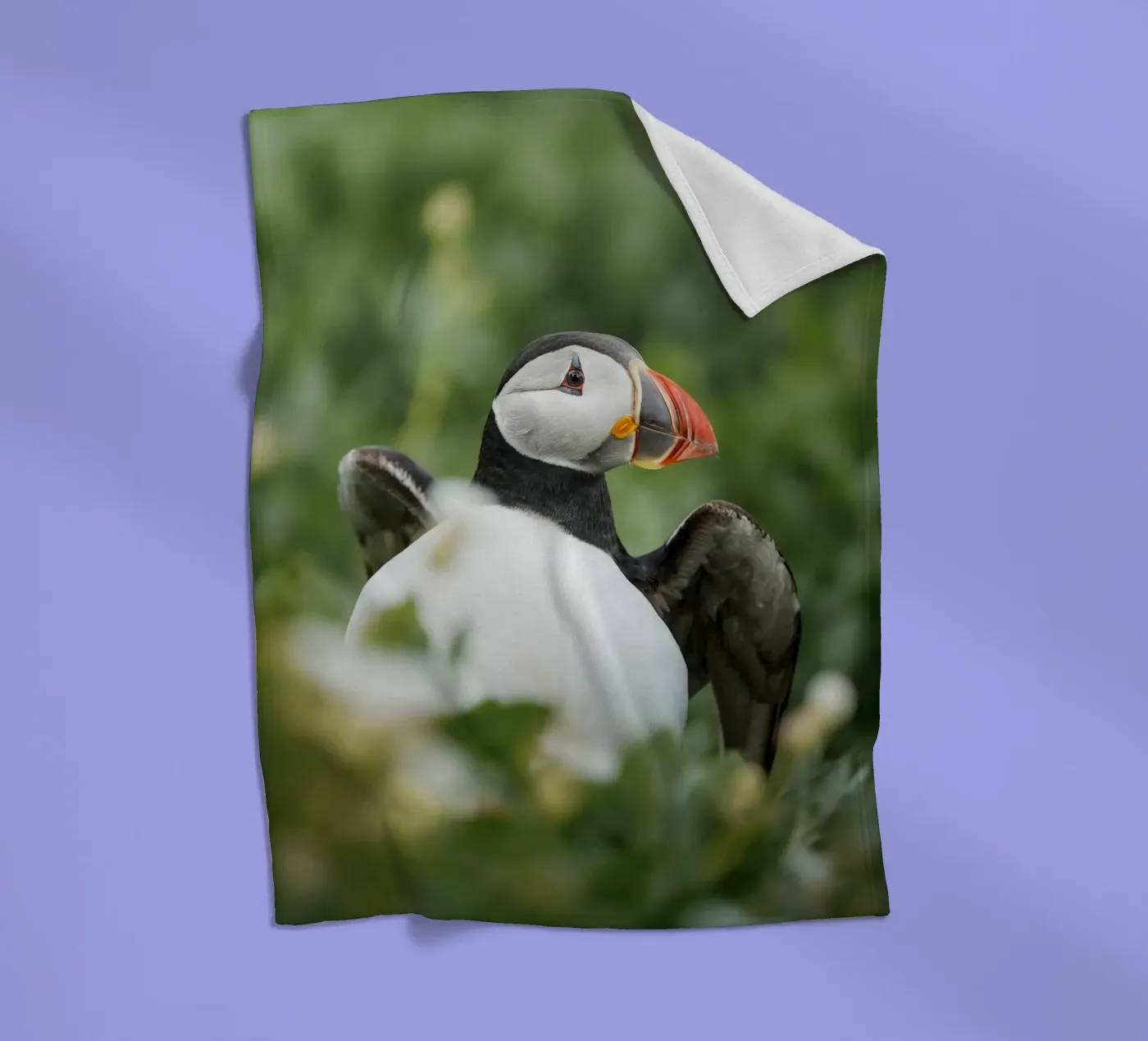 Papageientaucher Fleecedecke von Tom's Wildlife