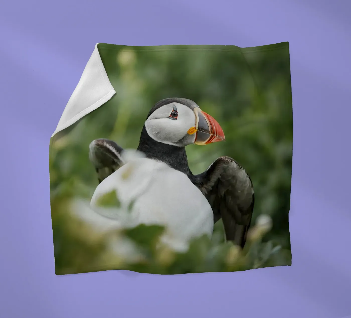 Papageientaucher Fleecedecke von Tom's Wildlife