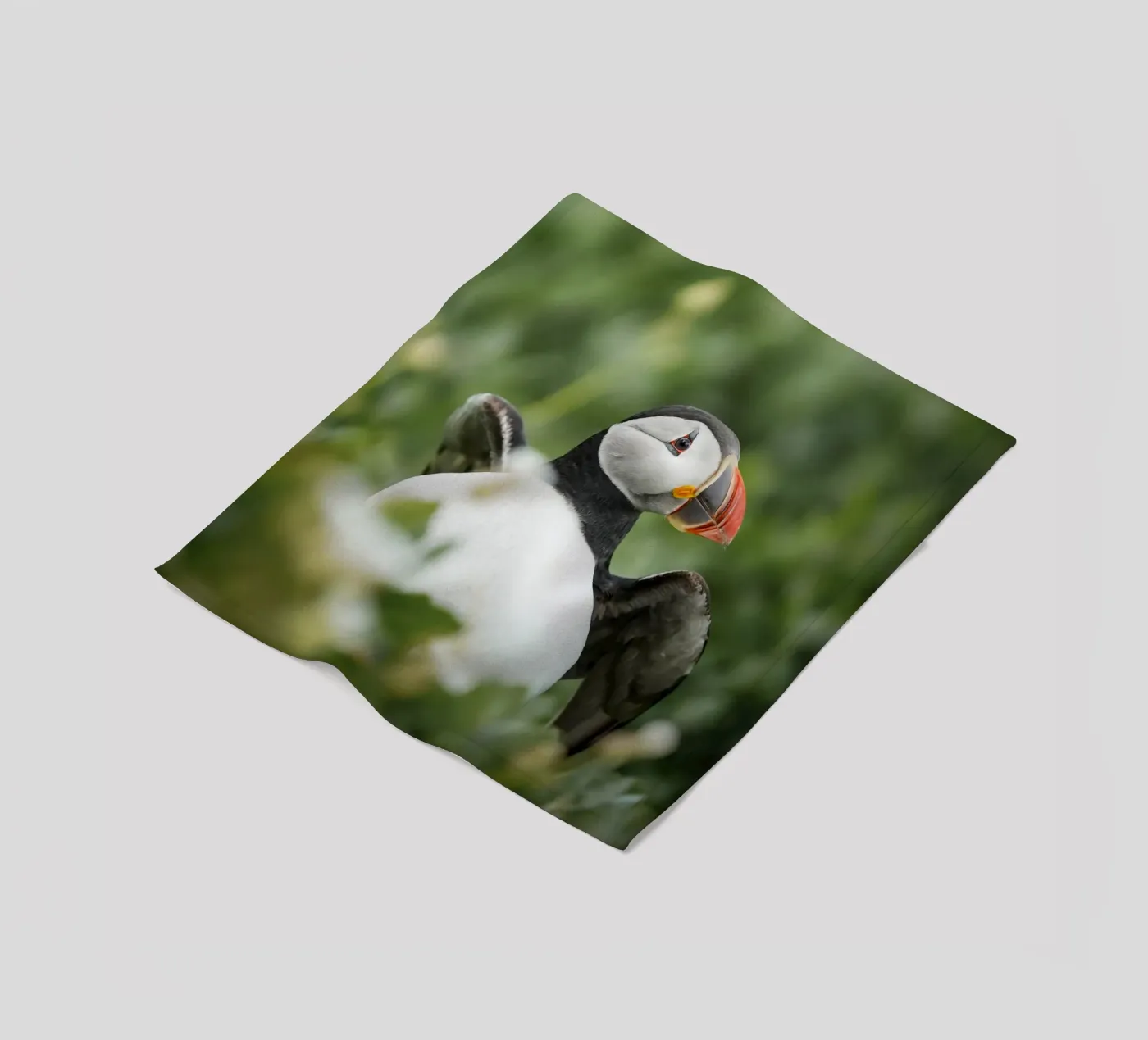 Papageientaucher Fleecedecke von Tom's Wildlife