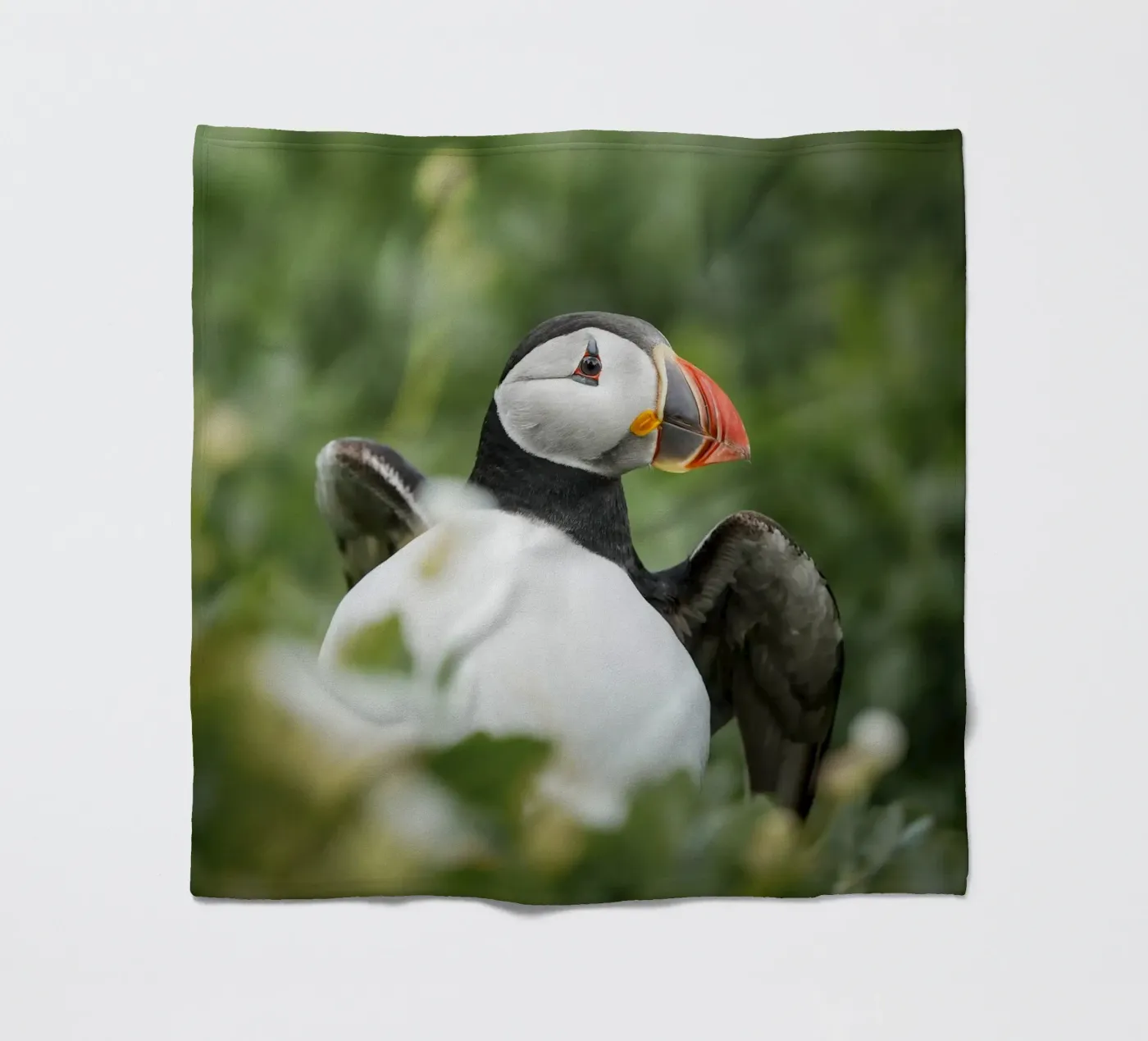 Papageientaucher Fleecedecke von Tom's Wildlife