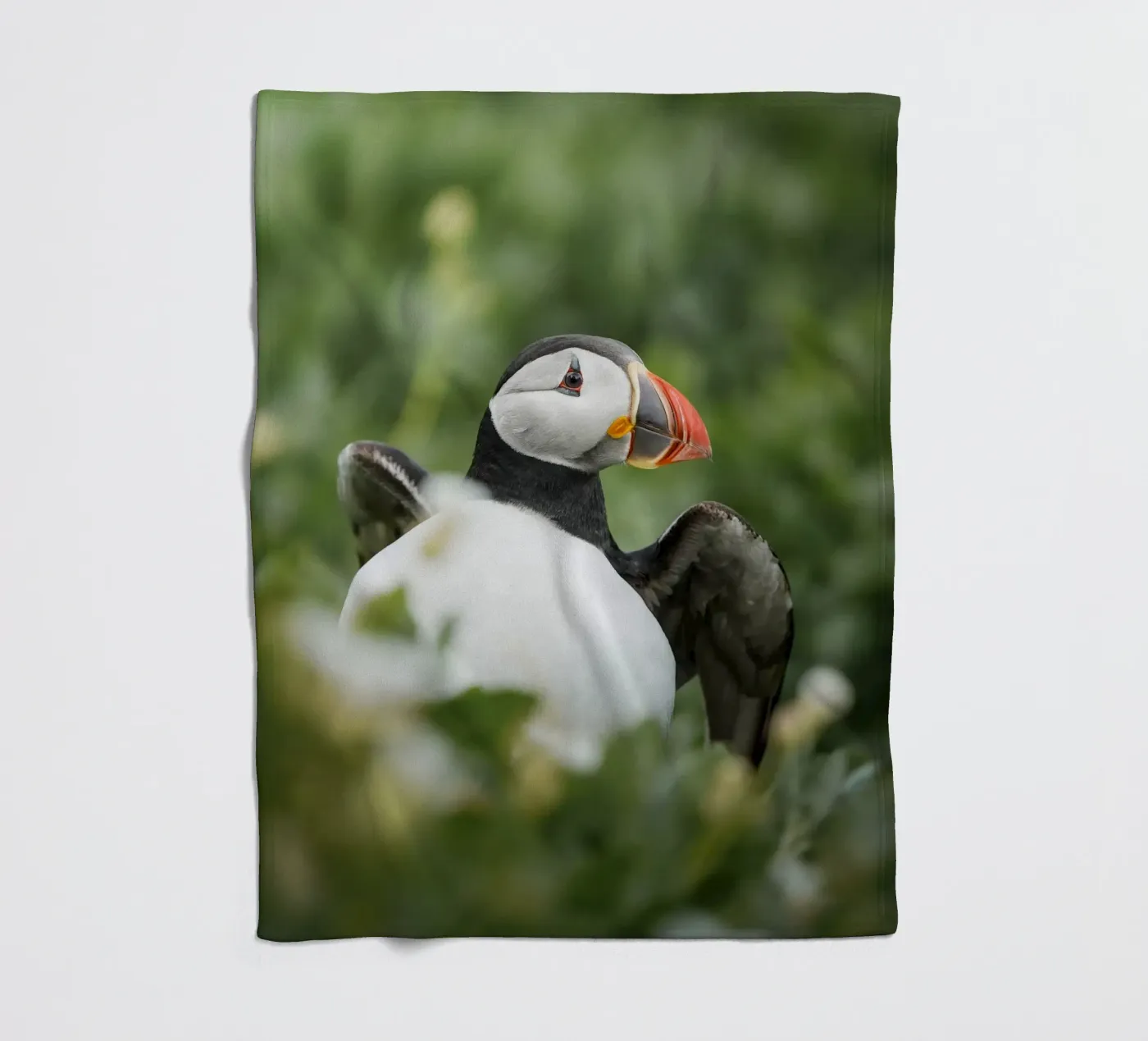 Papageientaucher Fleecedecke von Tom's Wildlife