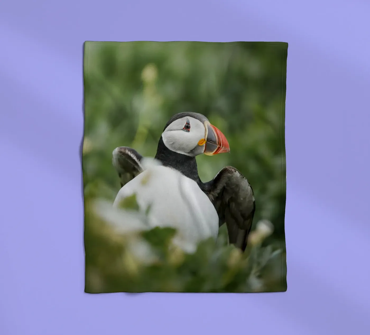 Papageientaucher Fleecedecke von Tom's Wildlife