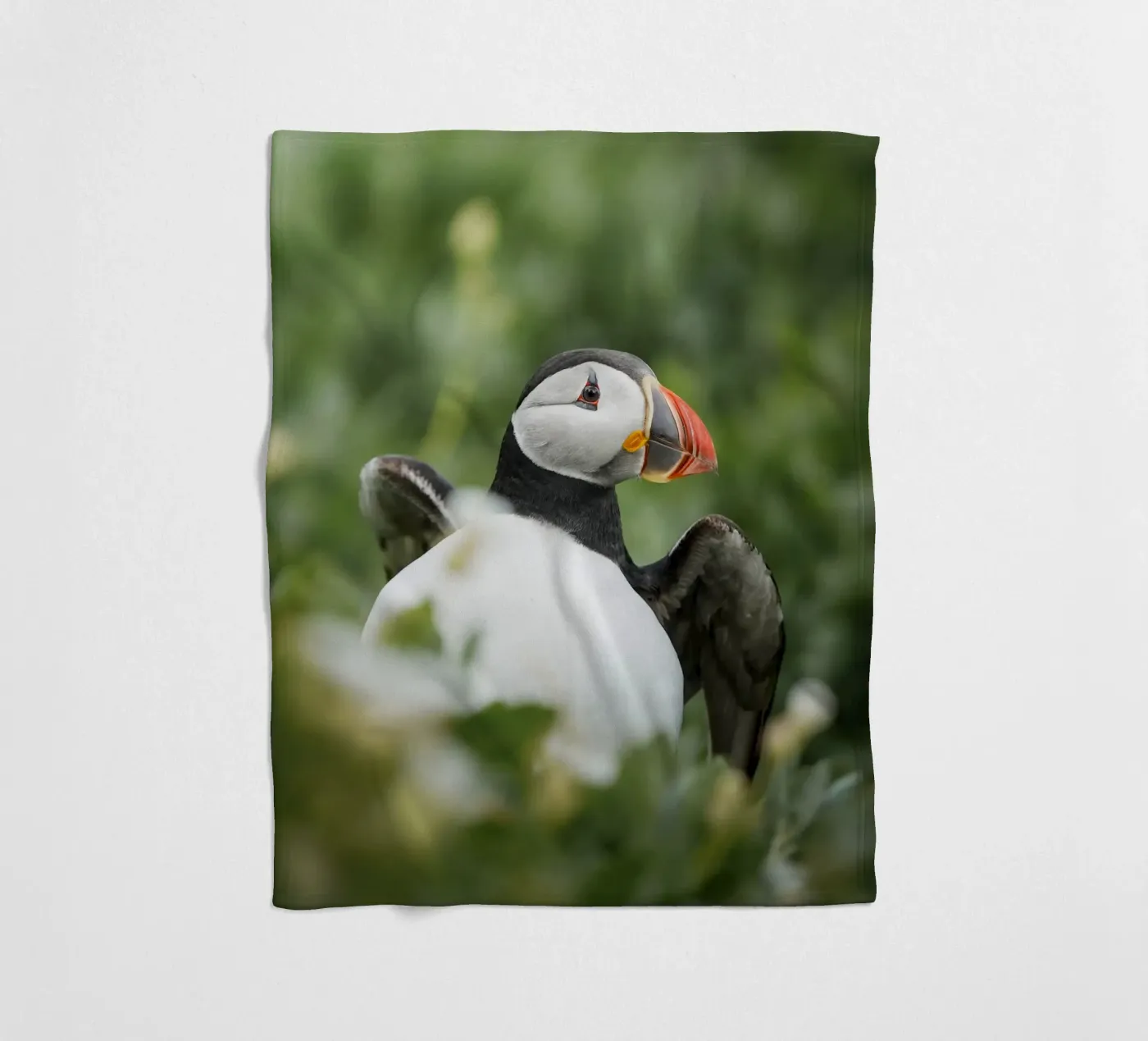 Papageientaucher Fleecedecke von Tom's Wildlife