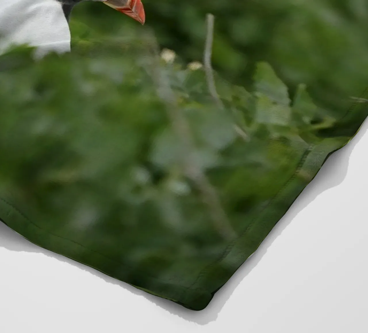 Pulcinella di mare nei campi di fiori coperta in pile da Tom's Wildlife