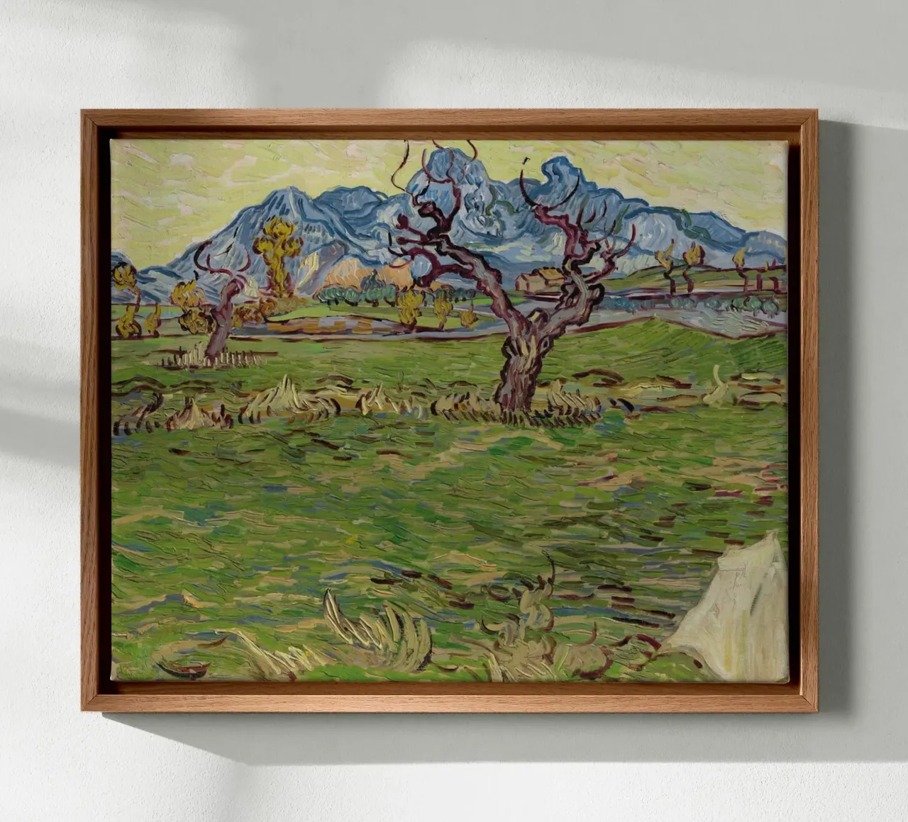 the olive trees twist their branches canvas by cloud shop