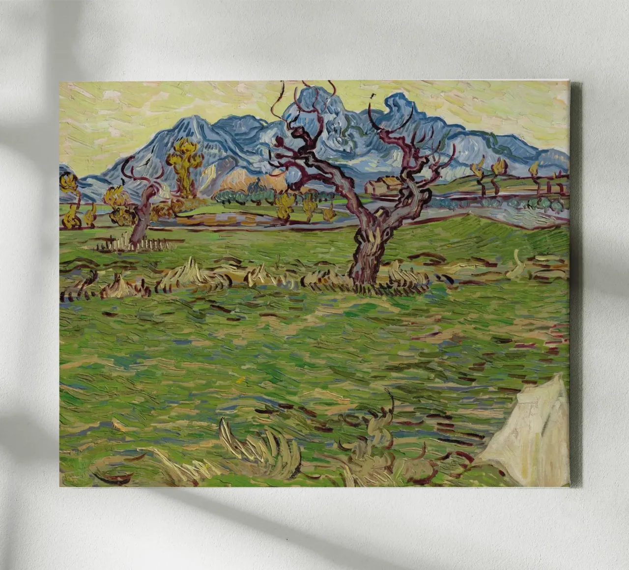 the olive trees twist their branches canvas by cloud shop