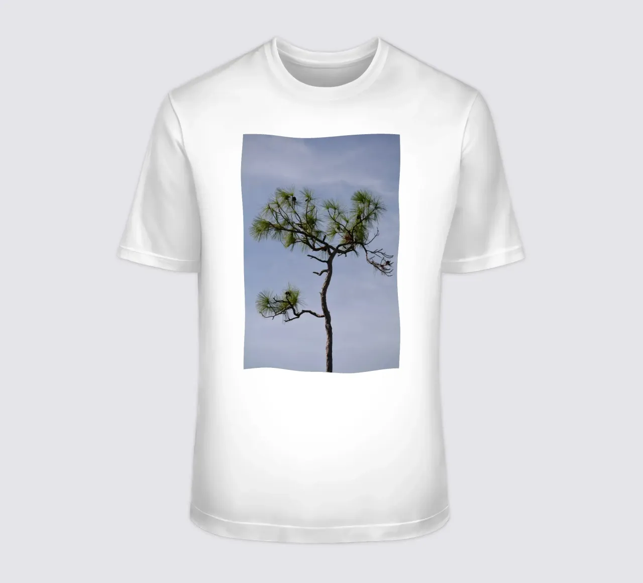 Longleaf Pine Against Blue Sky in the Everglades t-shirt by byrieneke