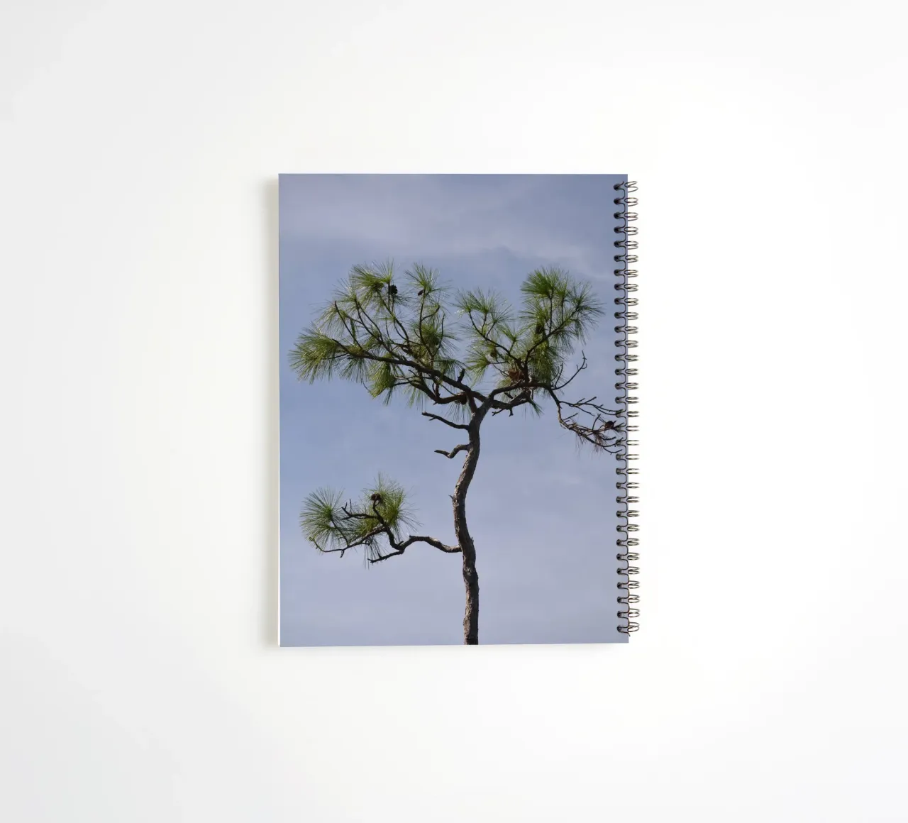 Longleaf Pine Against Blue Sky in the Everglades spiral notebook by byrieneke