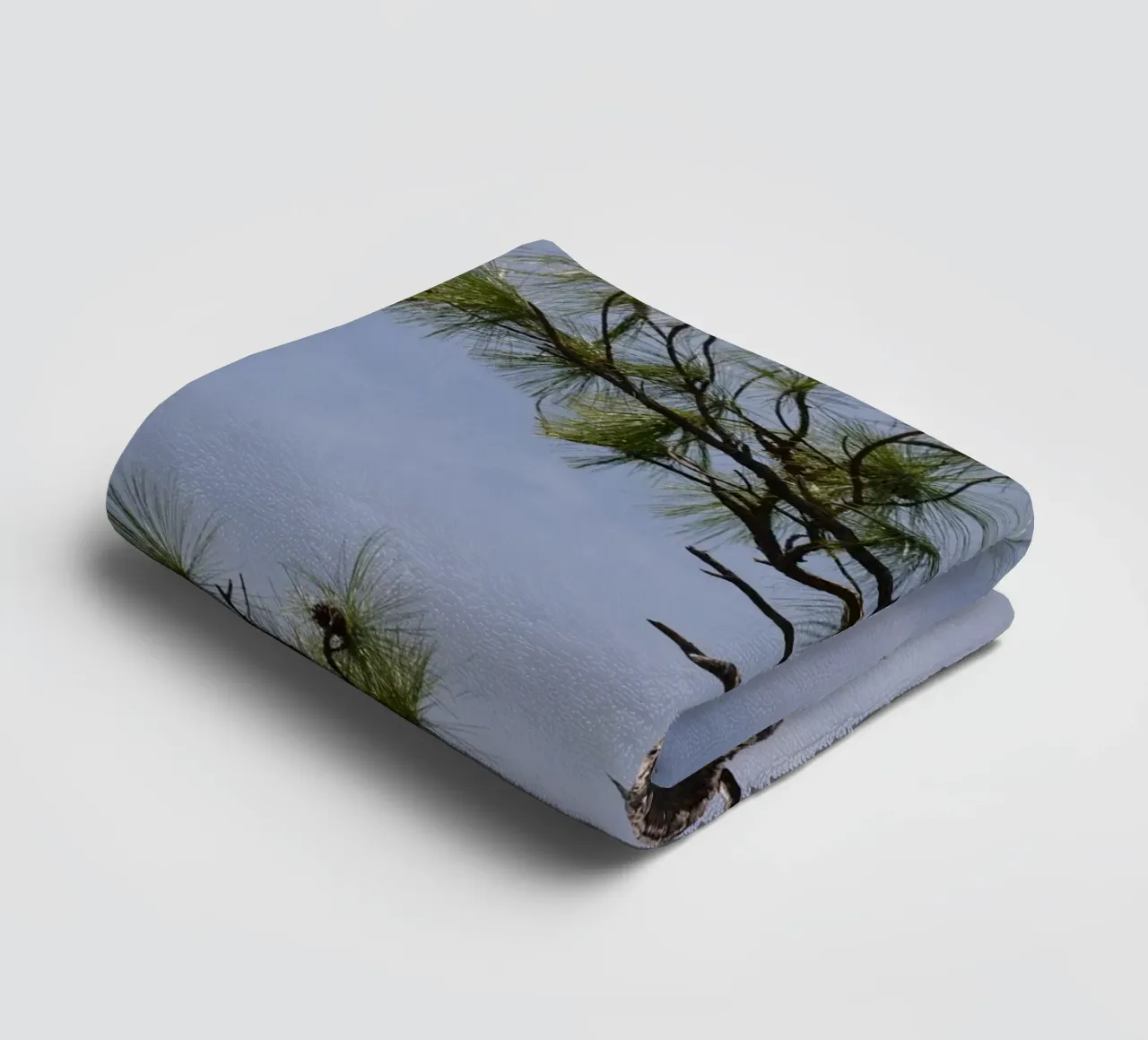 Longleaf Pine Against Blue Sky in the Everglades towel by byrieneke