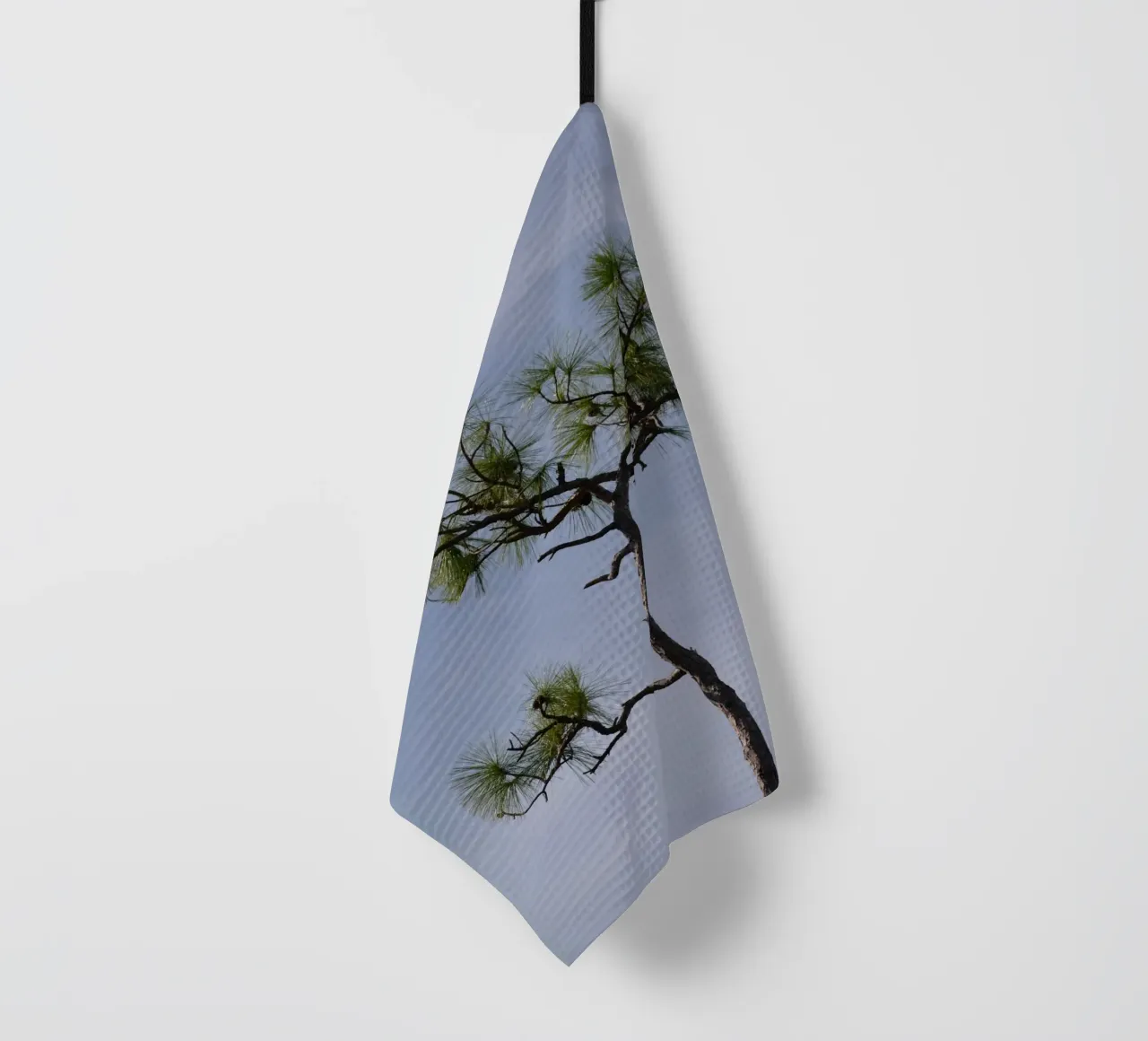 Pino Longleaf contro il cielo blu delle Everglades canovaccio da cucina da byrieneke