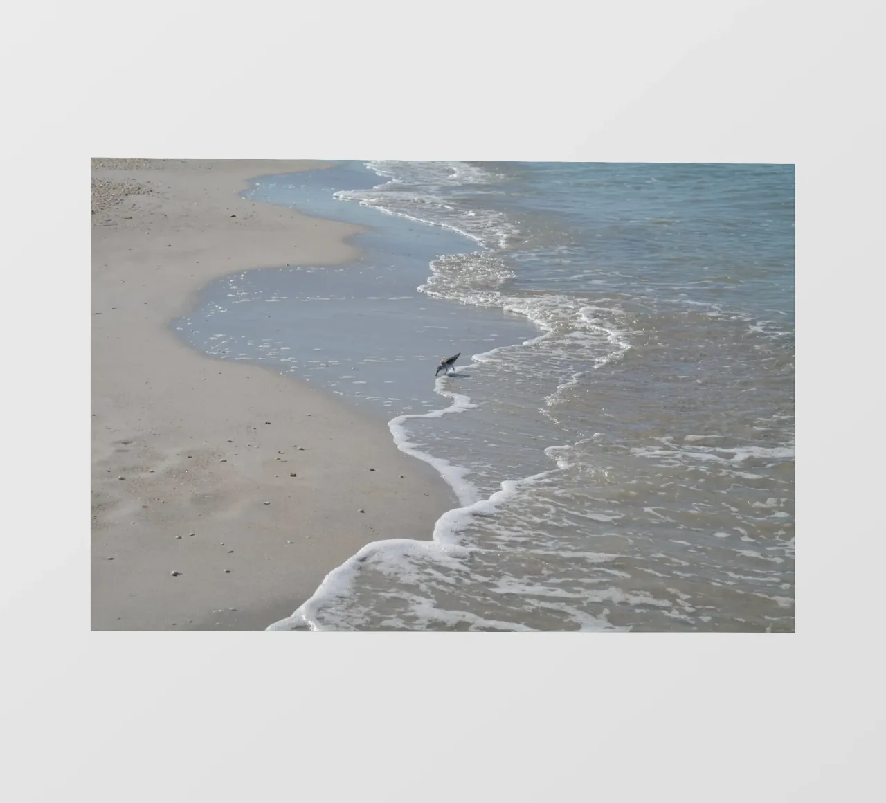 Piovanello in spiaggia a Napoli carta da parati fotografica da byrieneke