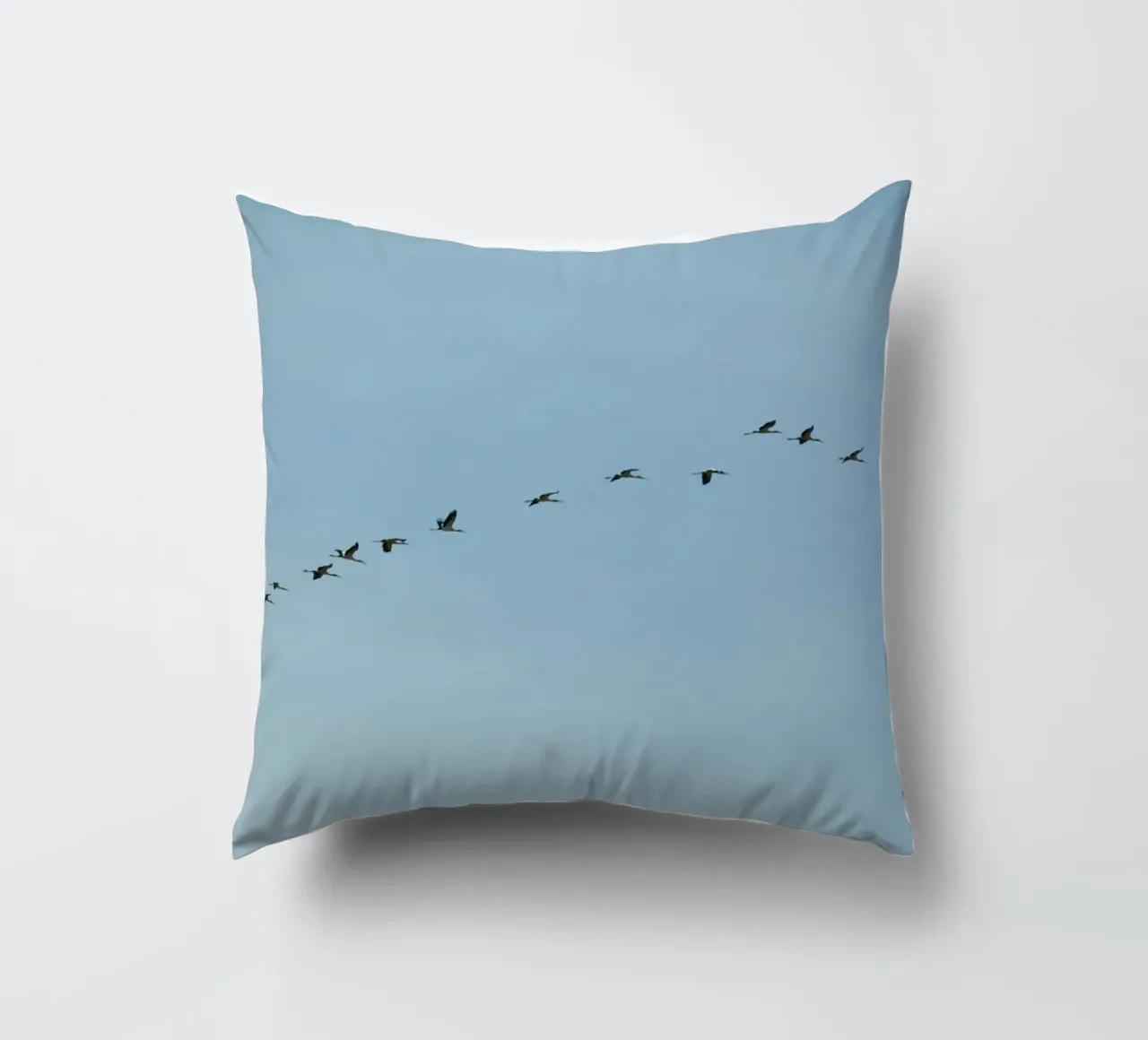Bird Formation Over the Everglades, Florida decorative cushion by byrieneke