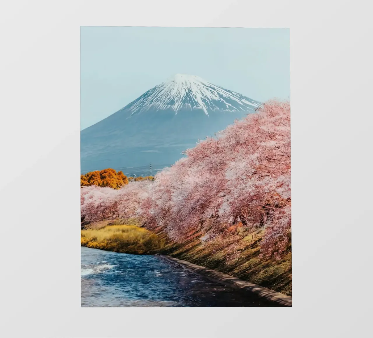 Il monte Fuji Sakura pellicola backlit da Travel