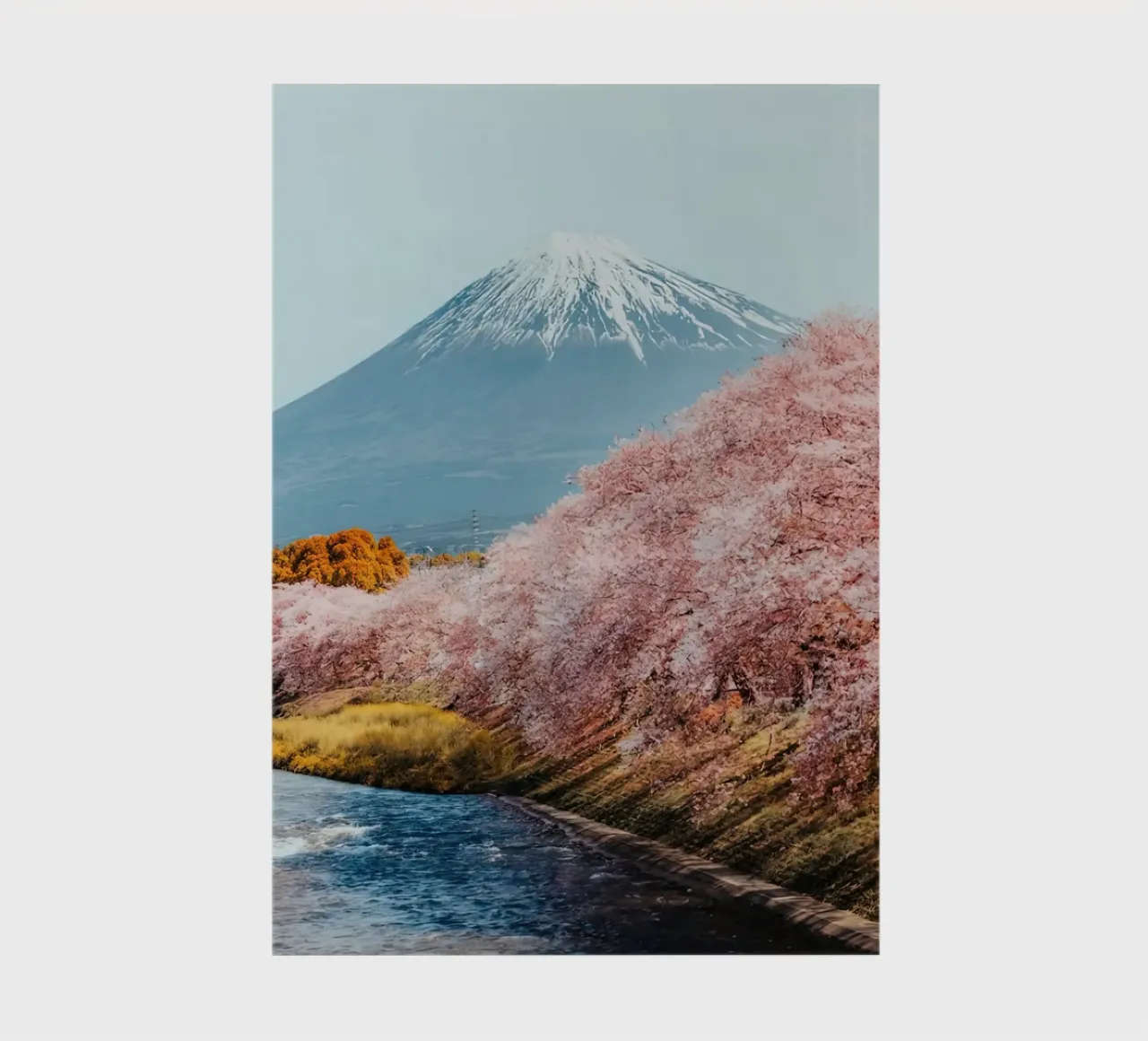 Mt Fuji Sakura notebook by Travel