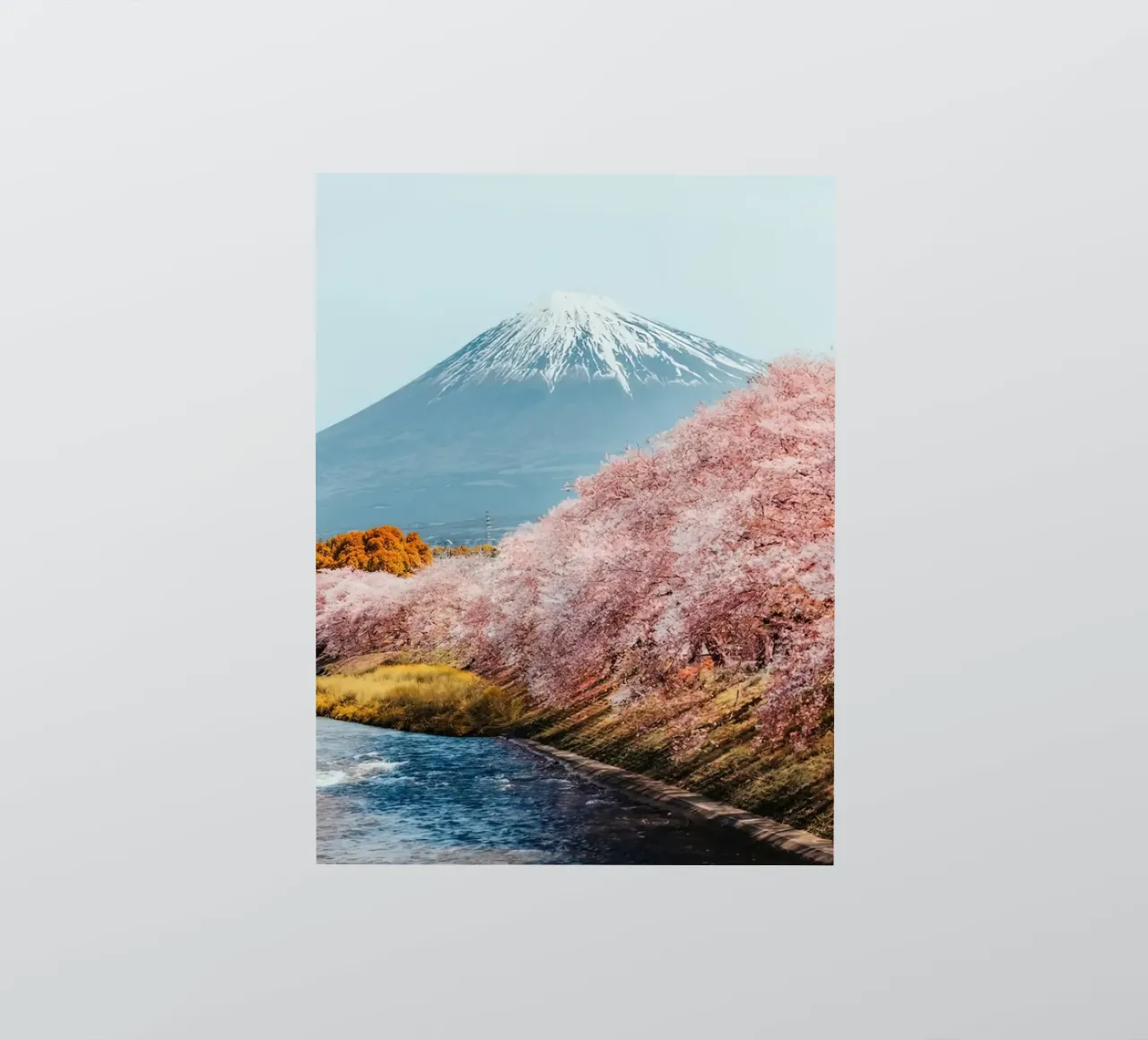 Mt Fuji Sakura autocollant de Travel
