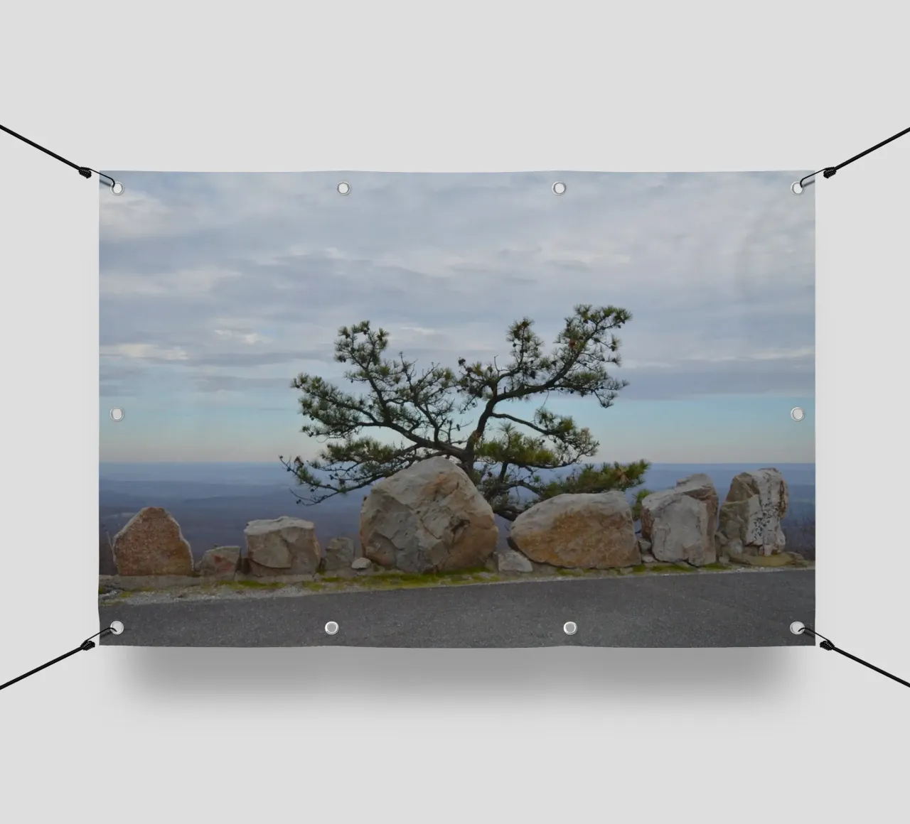 Lonely Tree at High Point in New Jersey pvc cover by byrieneke