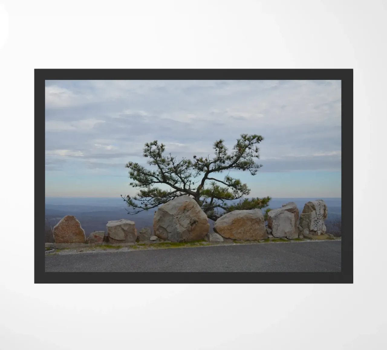 Lonely Tree at High Point in New Jersey doormat by byrieneke