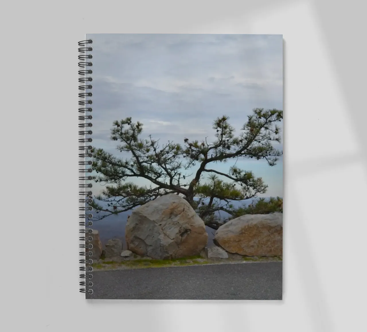 Lonely Tree op High Point in New Jersey notitieboek met spiraal van byrieneke