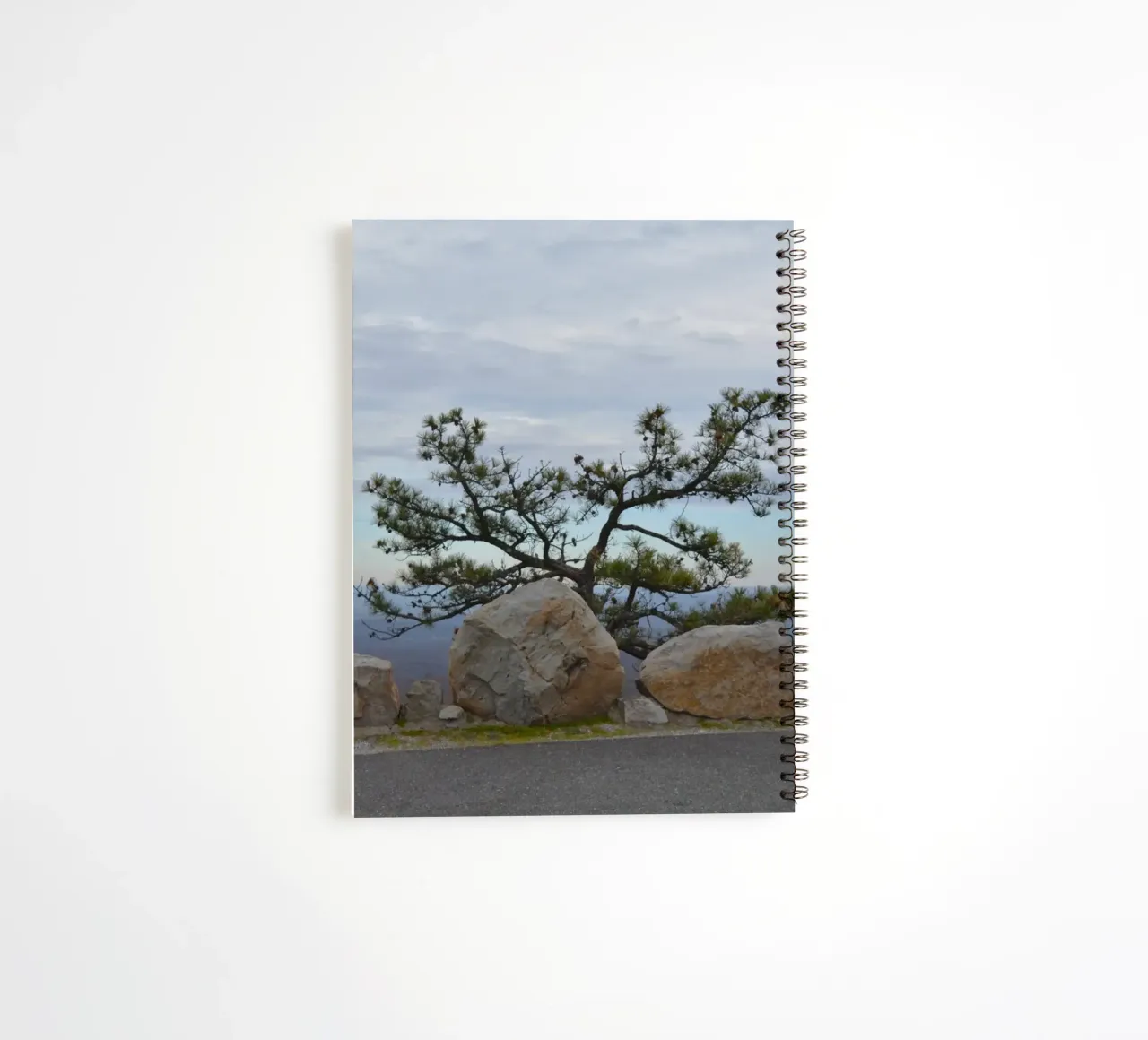 Lonely Tree op High Point in New Jersey notitieboek met spiraal van byrieneke