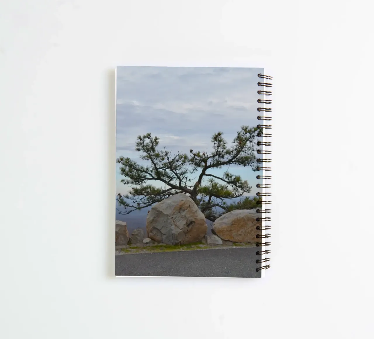 Lonely Tree op High Point in New Jersey notitieboek met spiraal van byrieneke