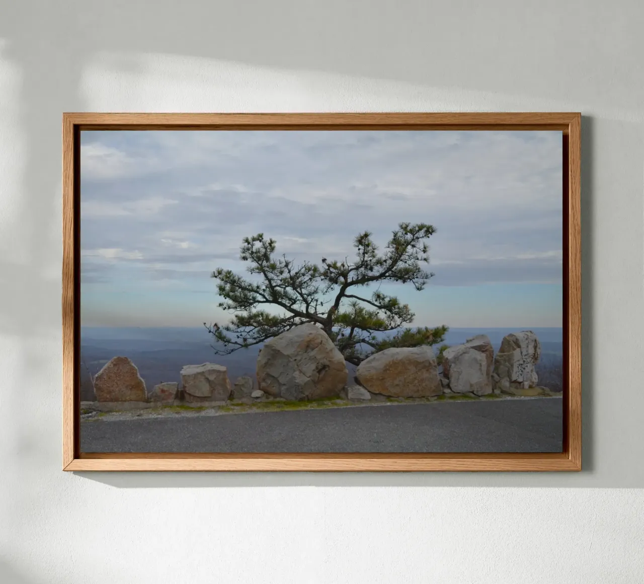 Albero Solitario ad High Point nel New Jersey alluminio dibond da byrieneke
