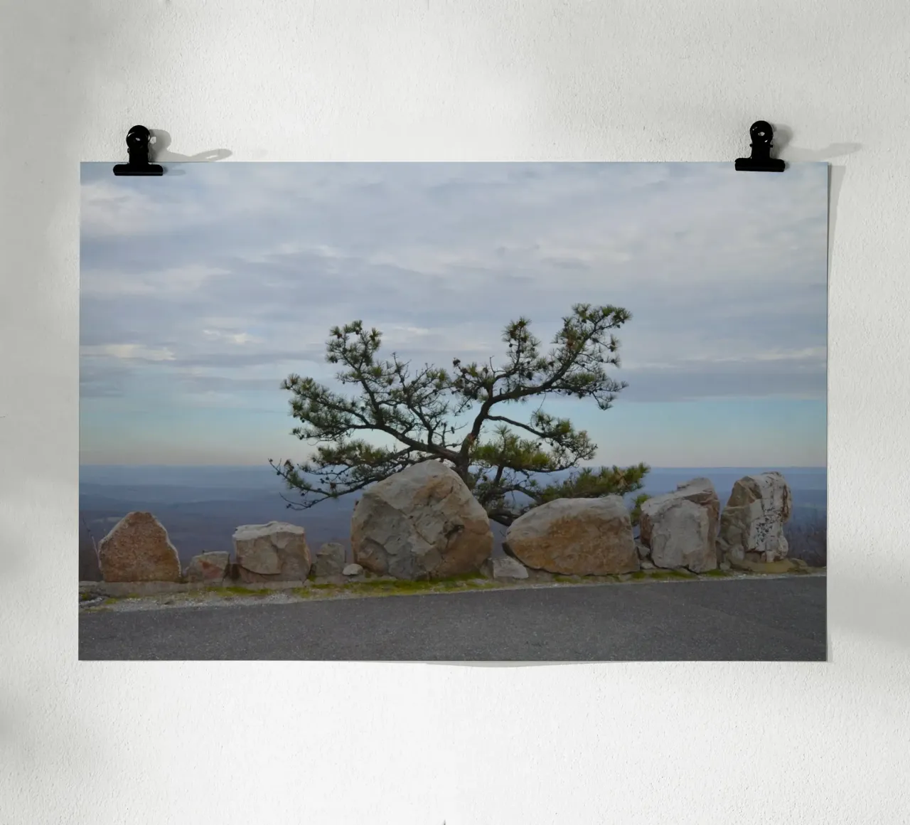 Einsamer Baum in High Point in New Jersey Hahnemühle von byrieneke