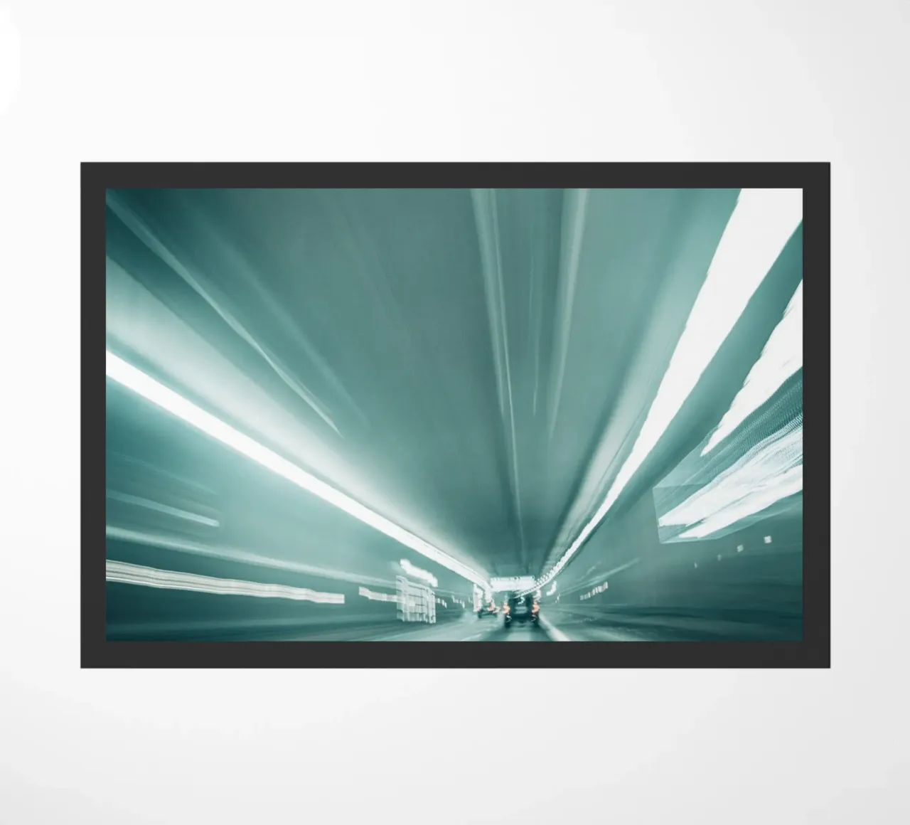 Speed zerbino da Flo Klein