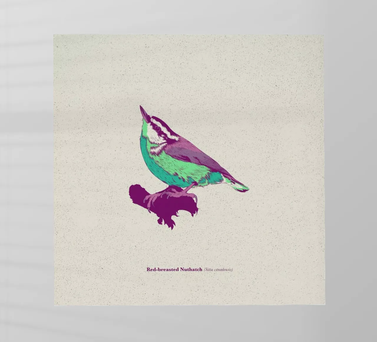 Bird 01 pellicola backlit da Cranio Dsgn