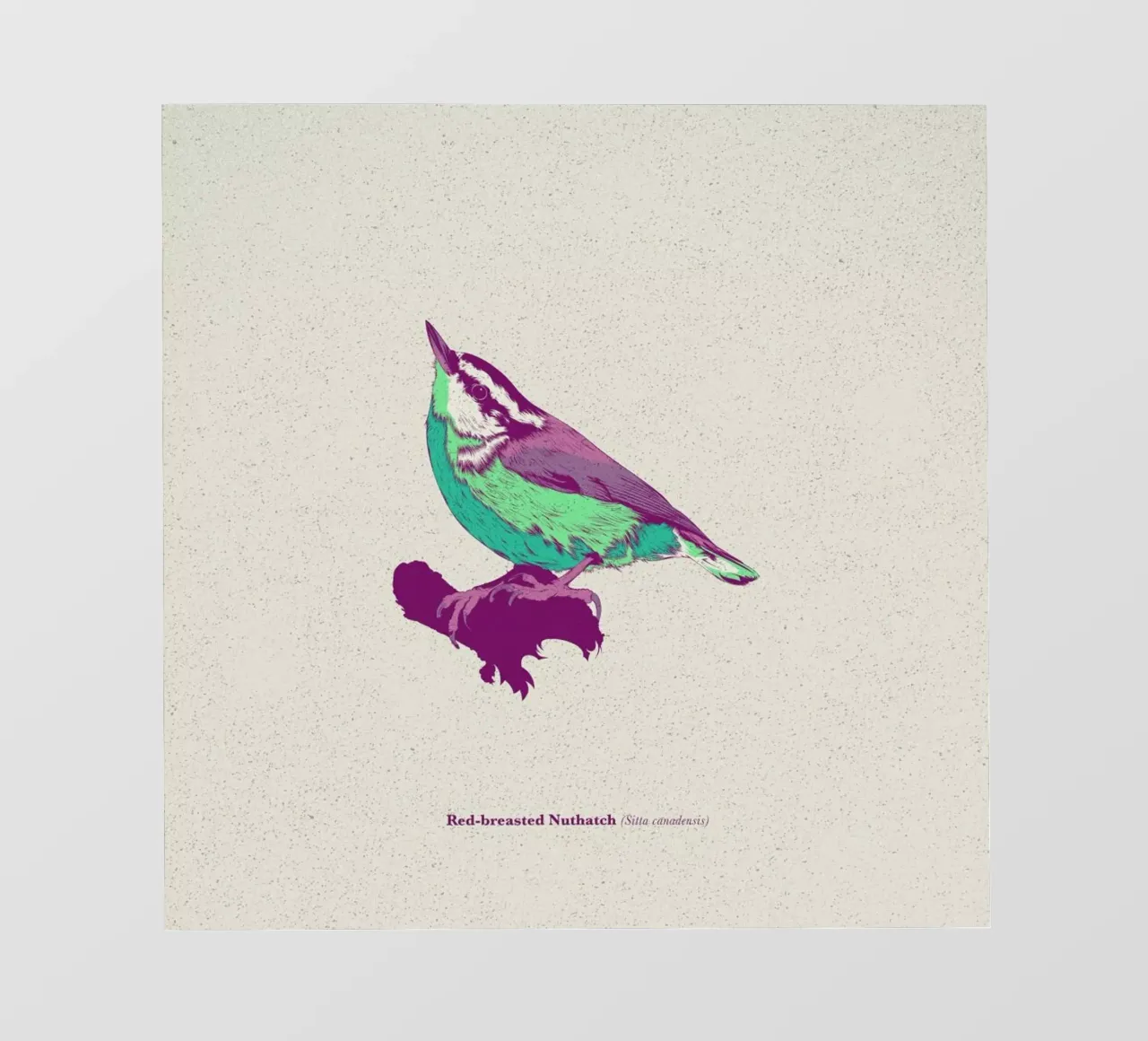 Bird 01 pellicola backlit da Cranio Dsgn