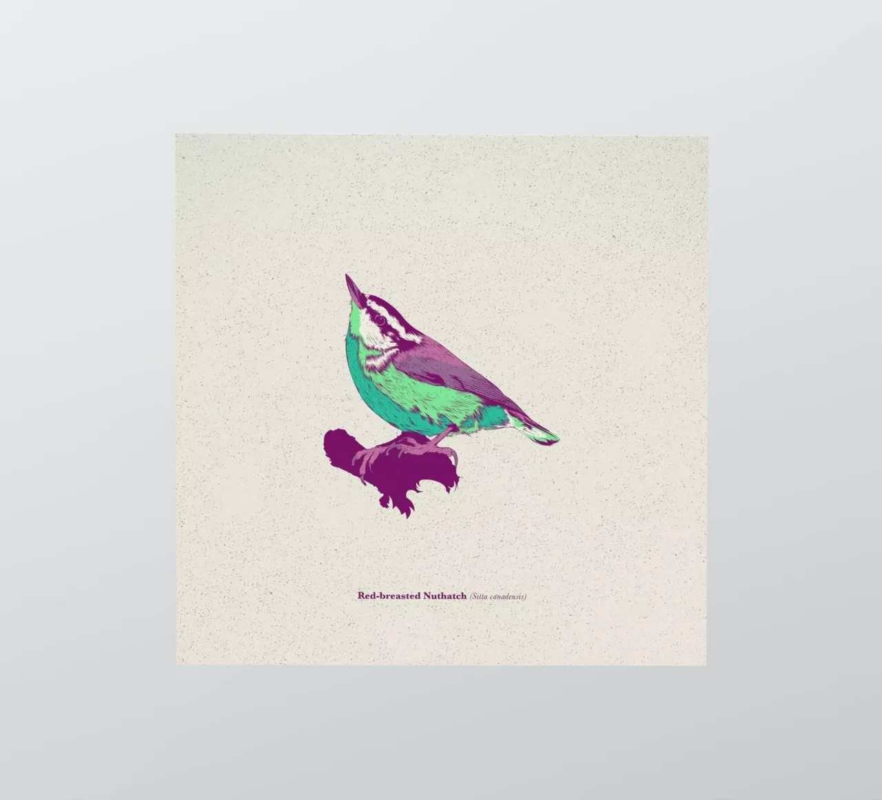 Bird 01 adesivo da Cranio Dsgn
