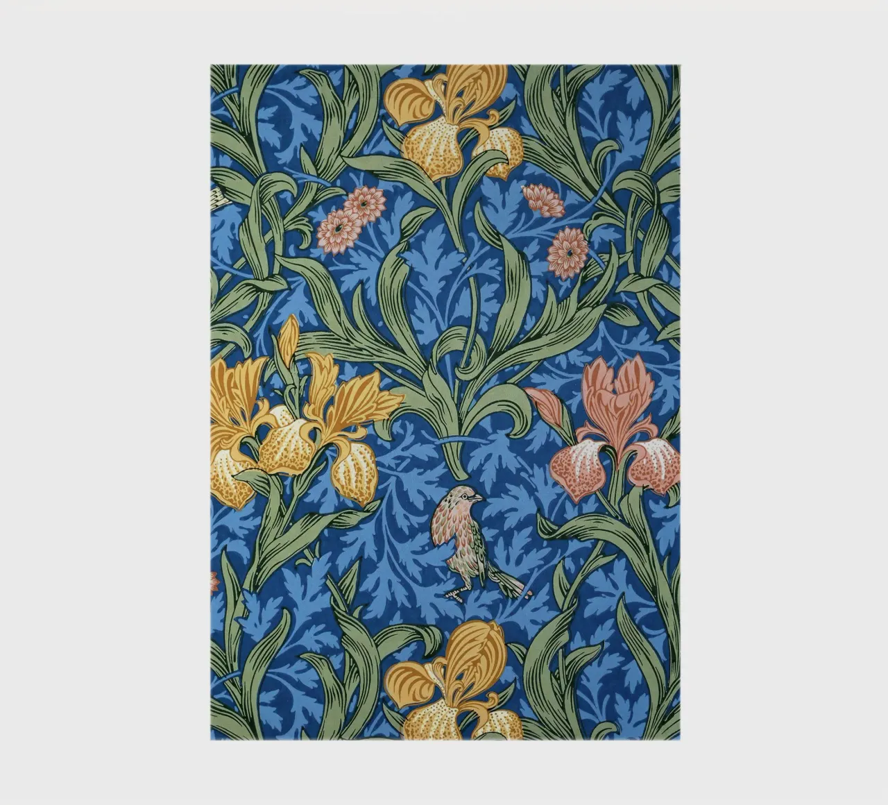 Iris notebook by lennytravers