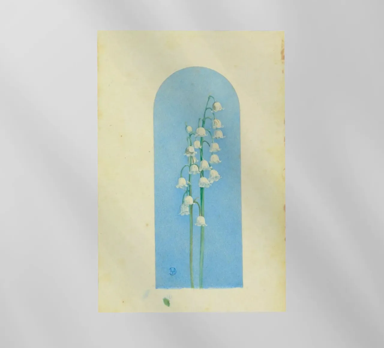 lily of the valley pellicola backlit da Histrol