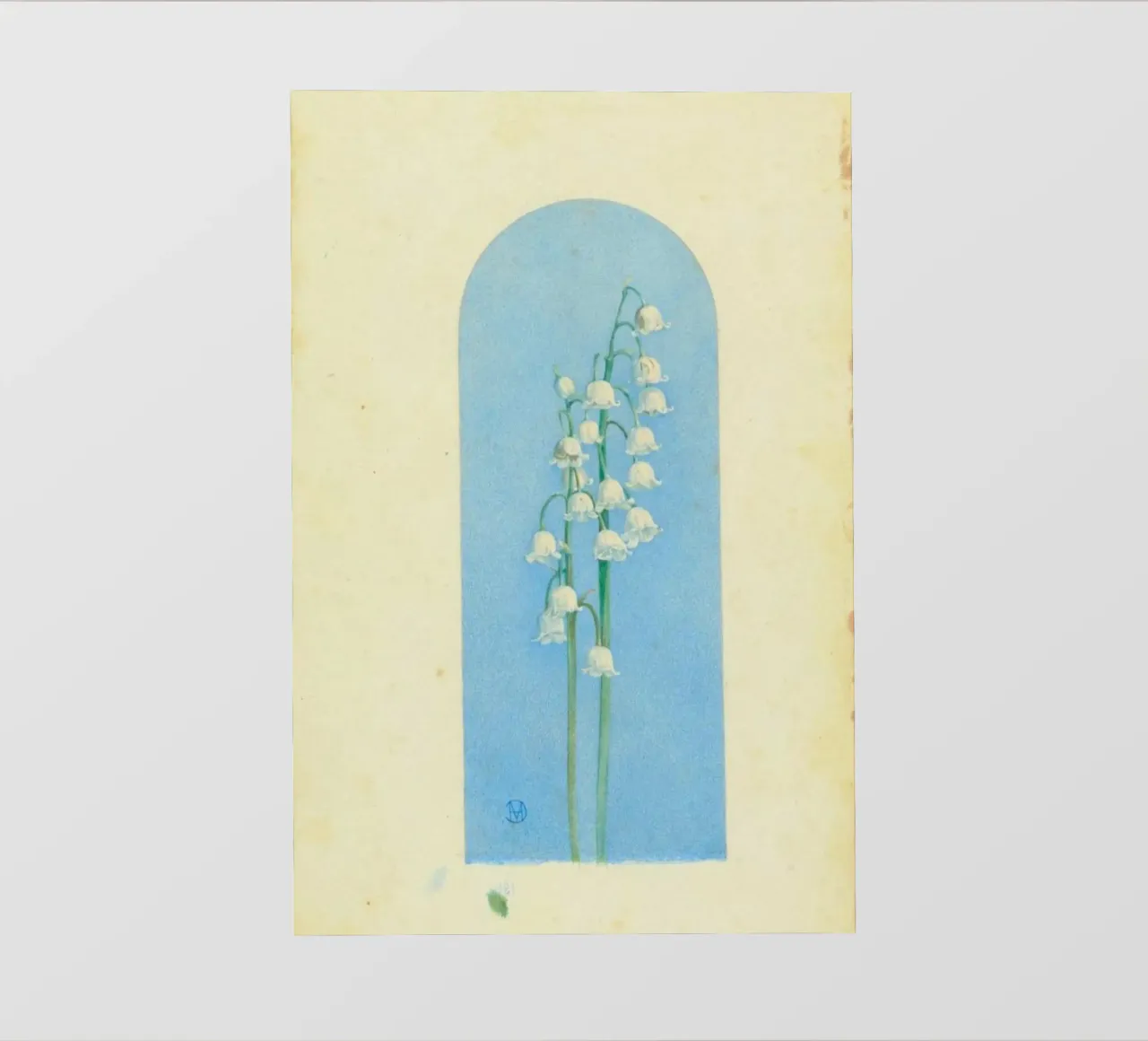 lily of the valley pellicola backlit da Histrol