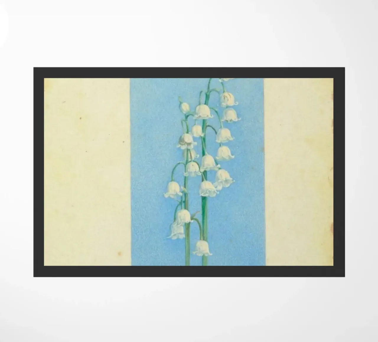 lily of the valley zerbino da Histrol