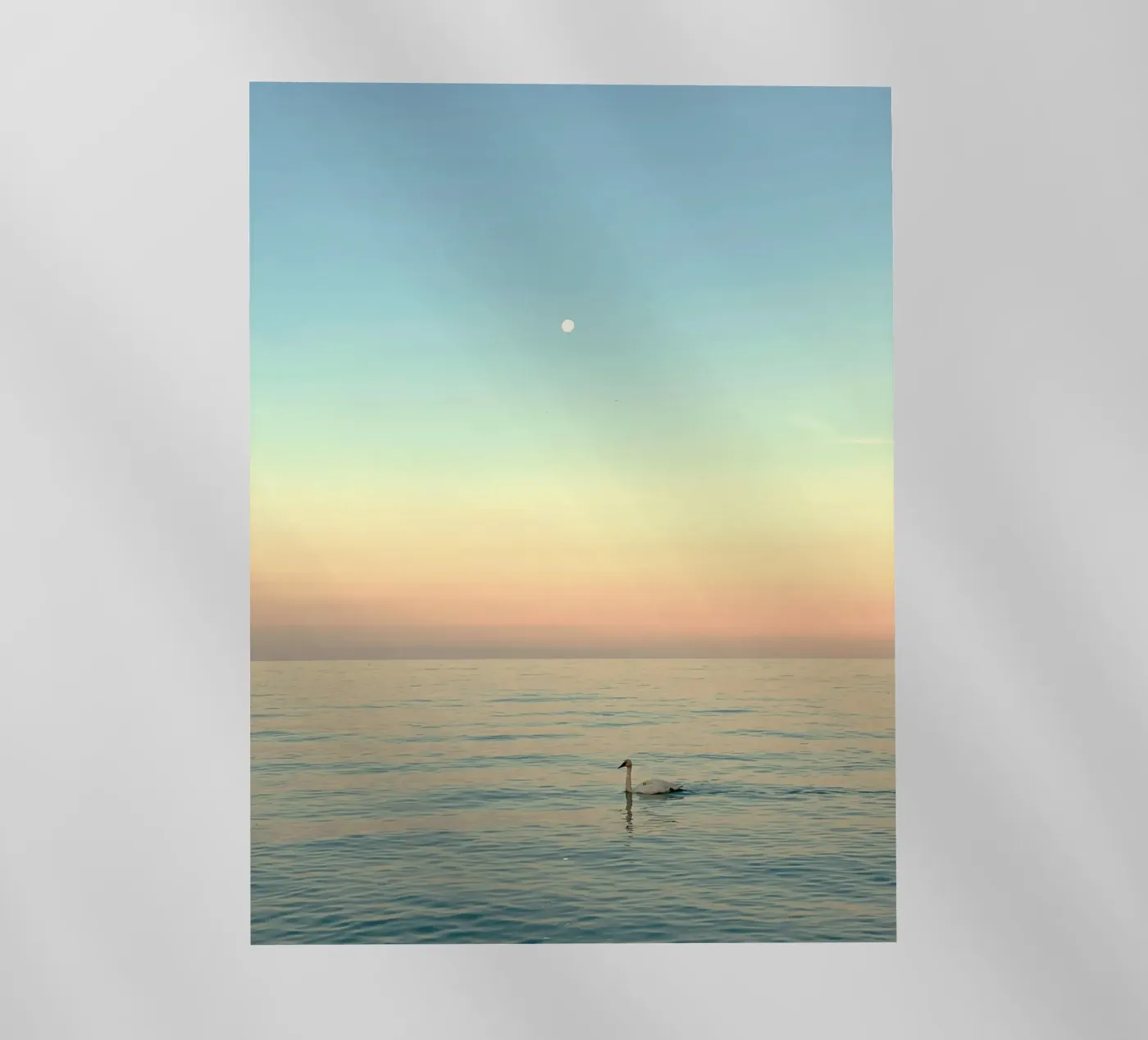 reflection serenity pellicola backlit da prindy
