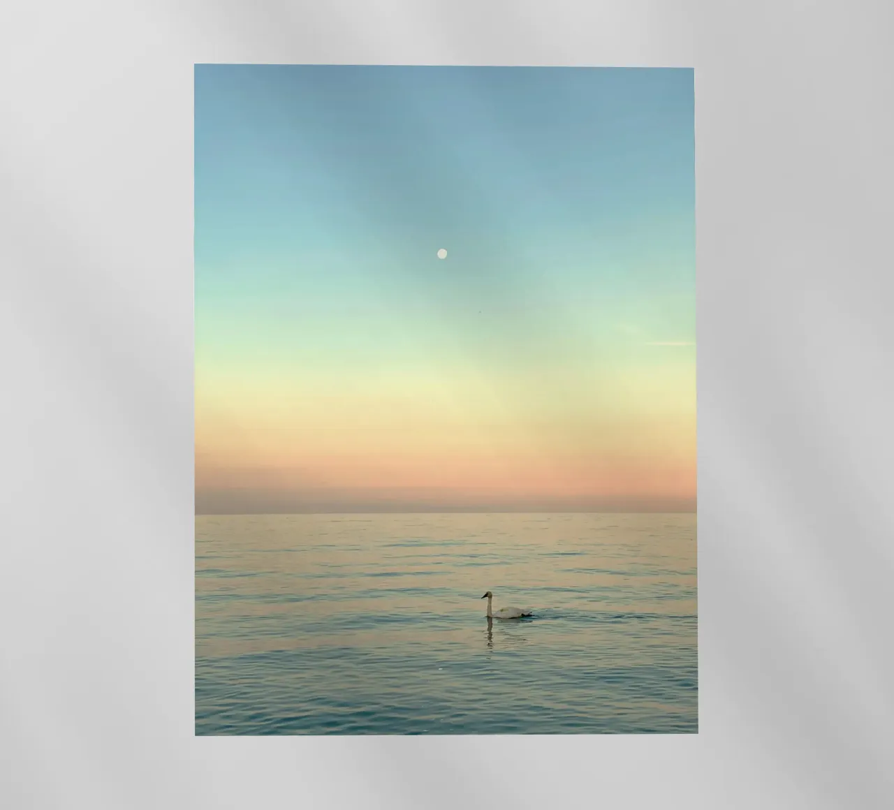 reflection serenity pellicola backlit da prindy