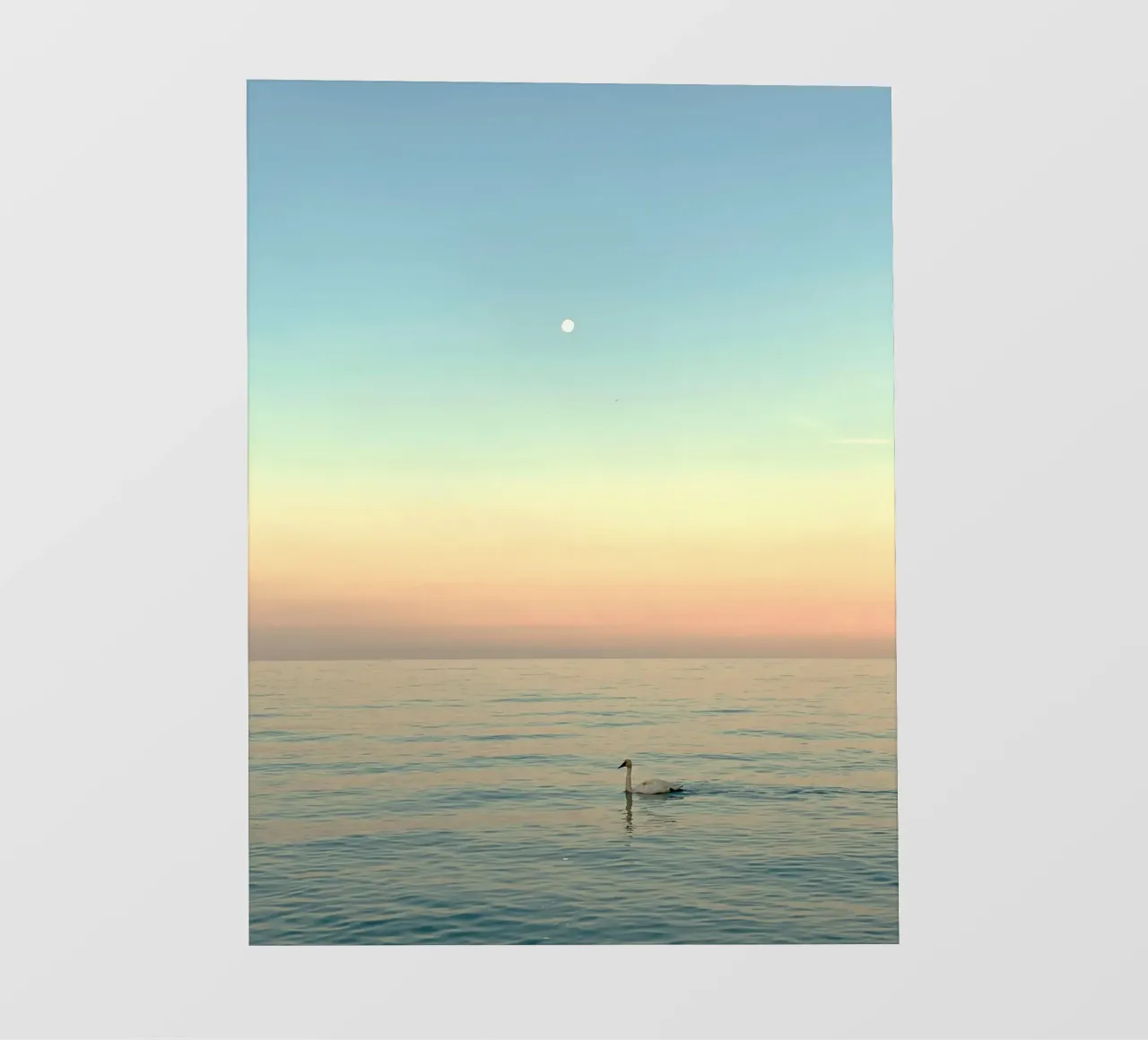 reflection serenity pellicola backlit da prindy