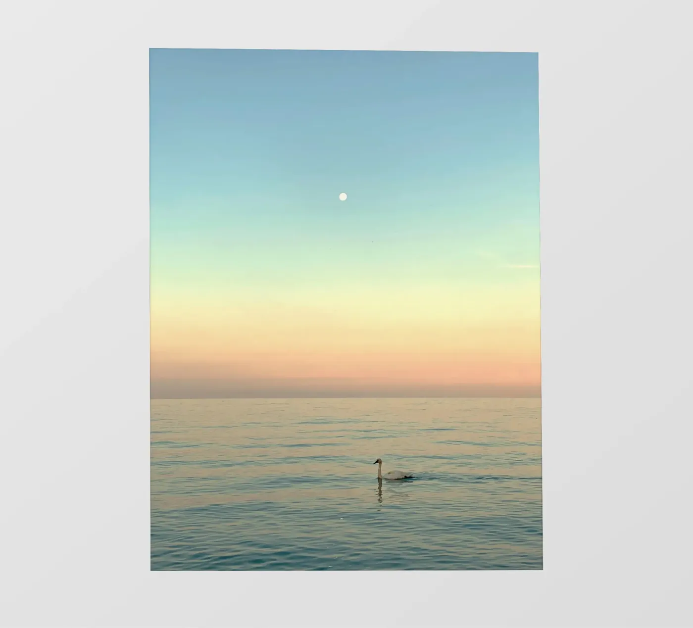 reflection serenity pellicola backlit da prindy