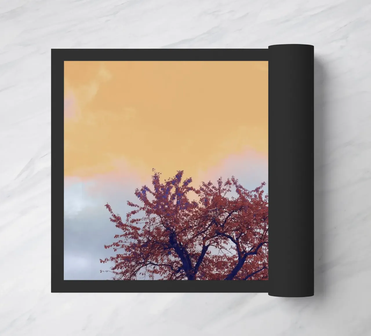 solitude branch zerbino da twillight