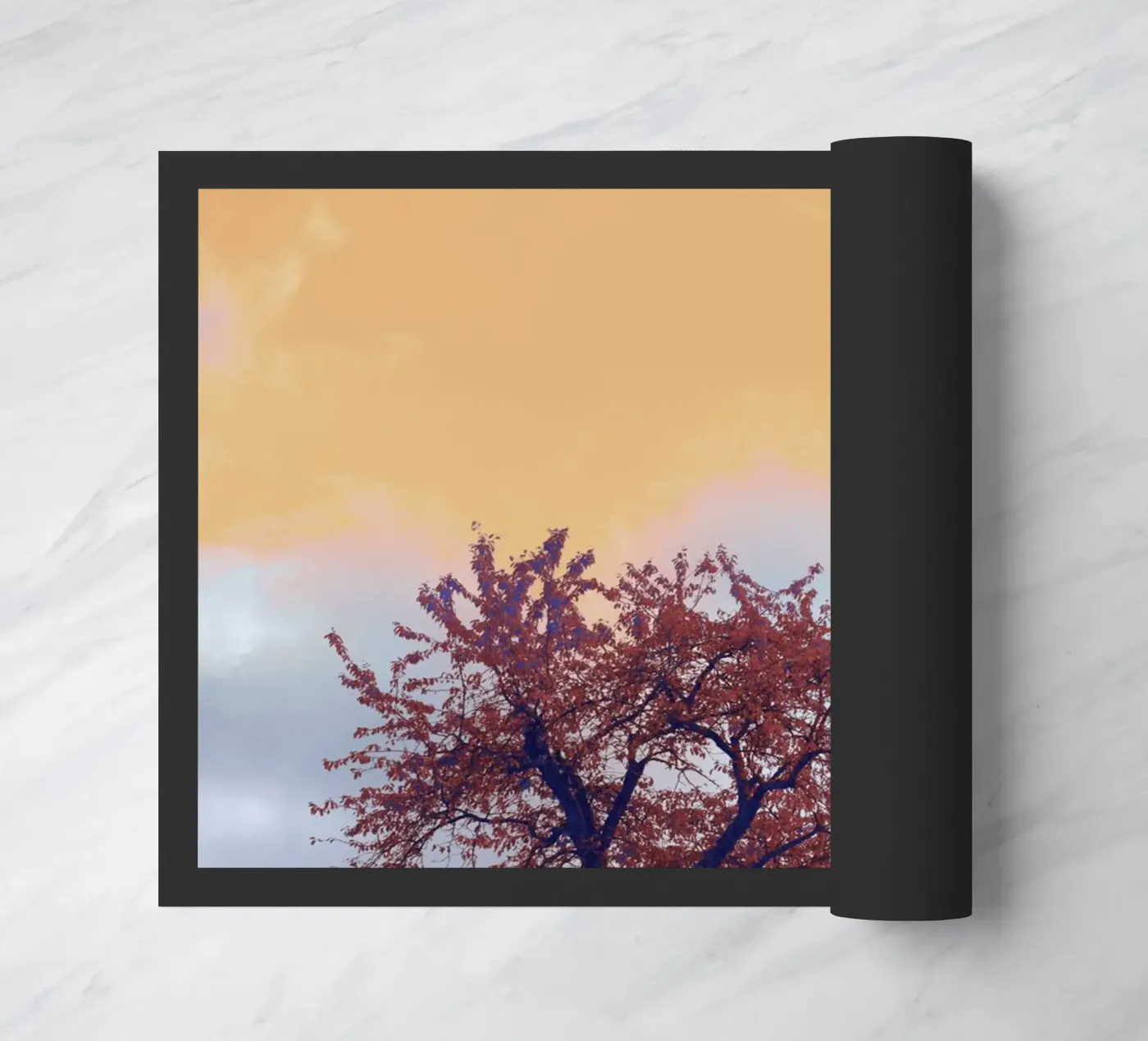 solitude branch zerbino da twillight