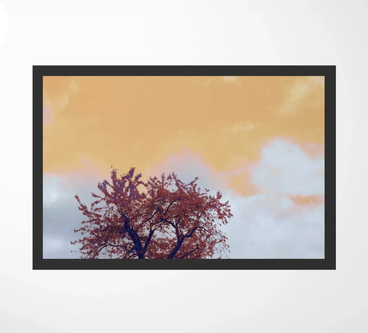 solitude branch zerbino da twillight