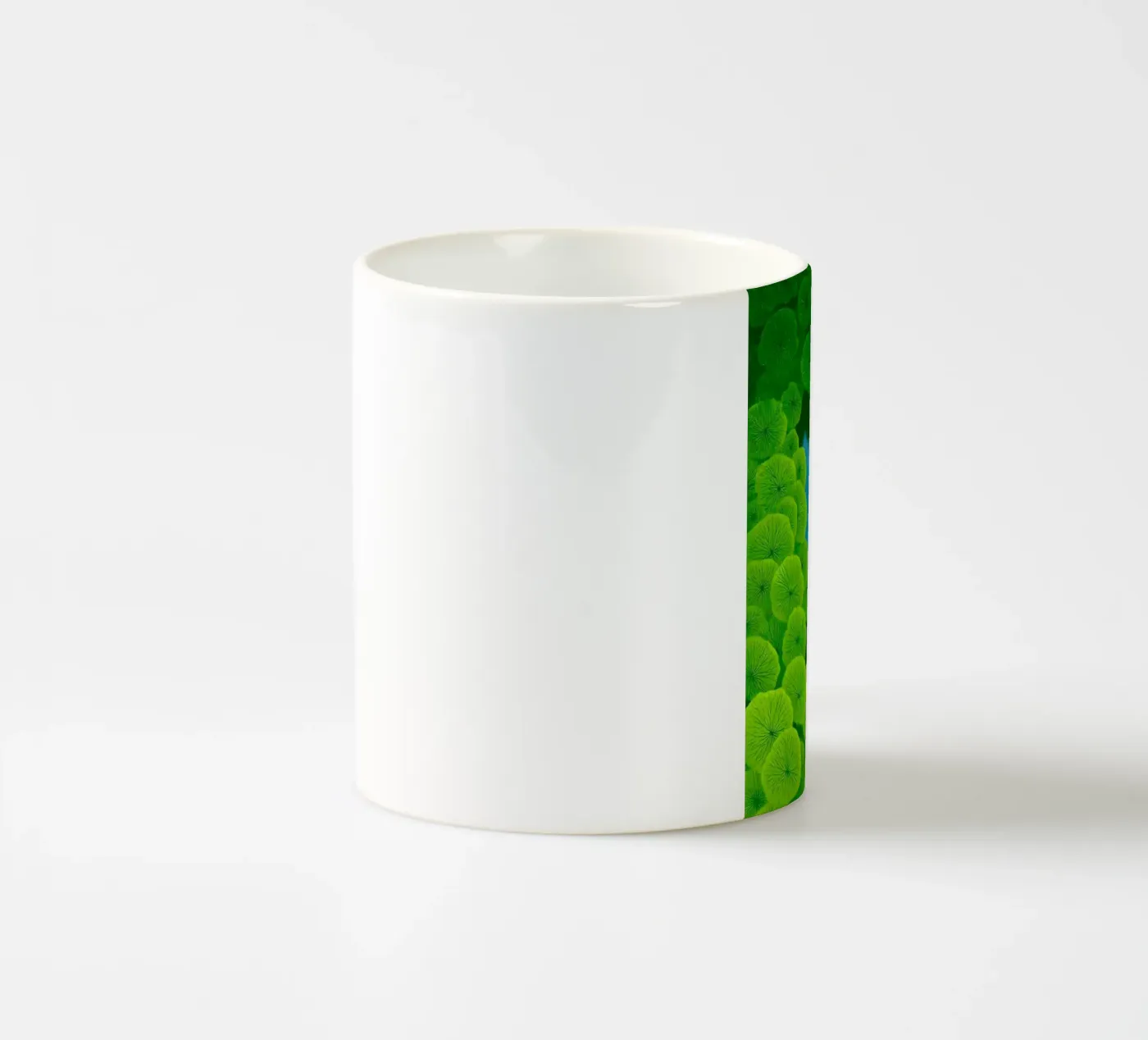 reflection river ceramic mug by twillight