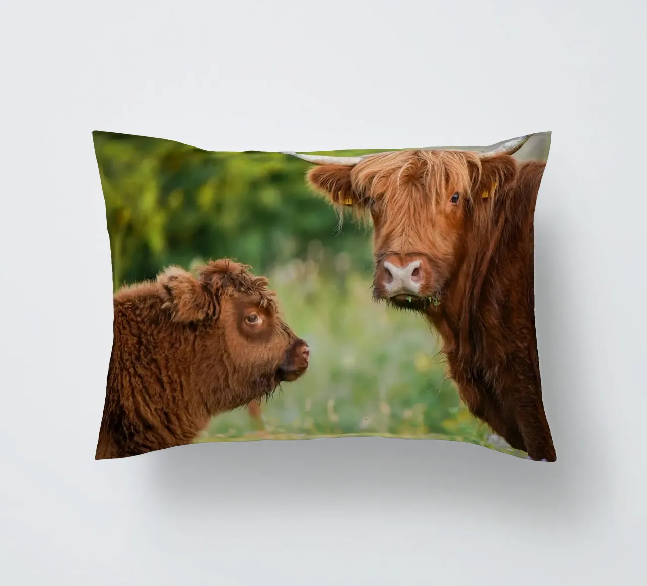 Mucca delle Highlands cuscino da Tom's Wildlife