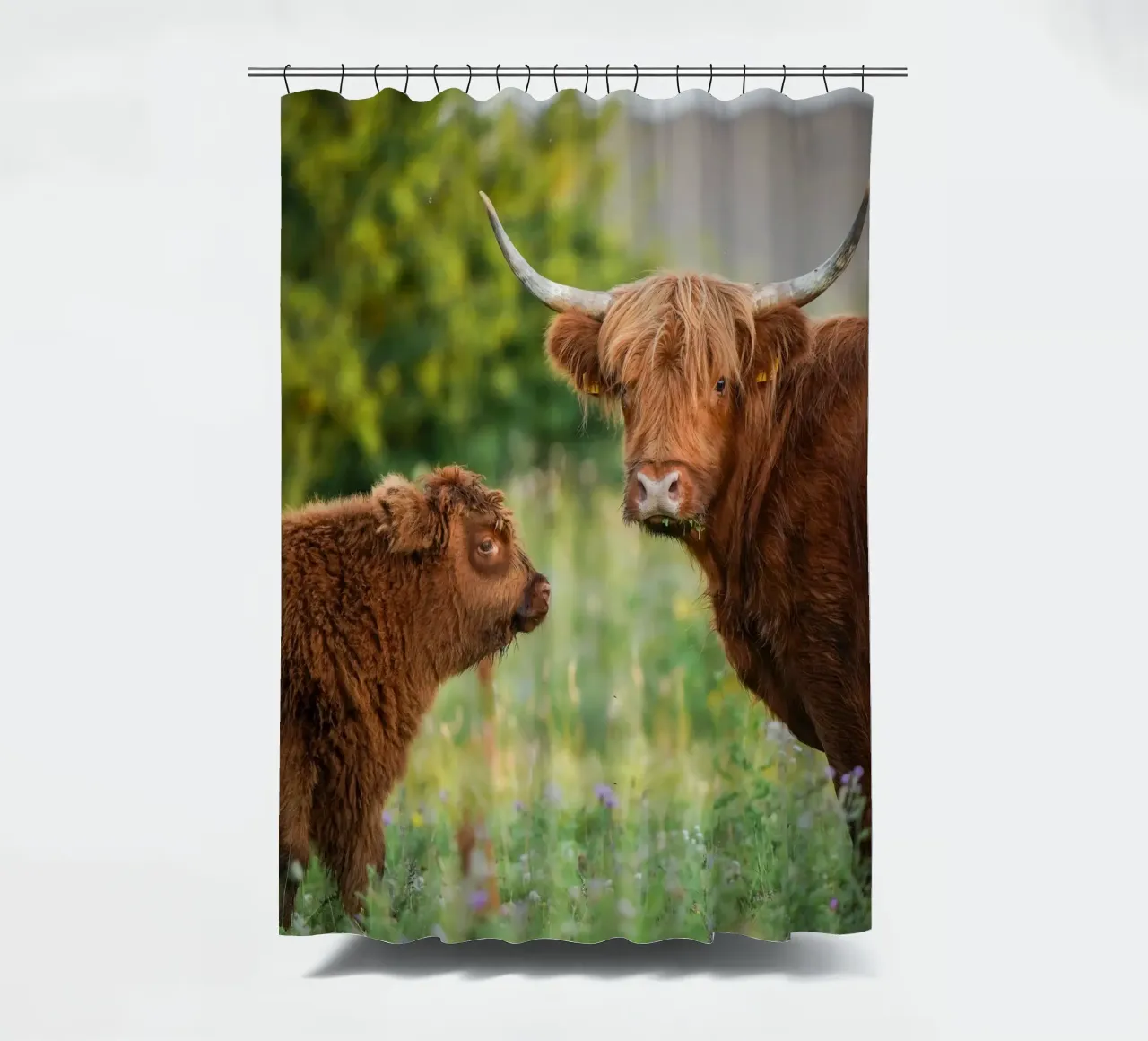Mucca delle Highlands tenda da doccia da Tom's Wildlife