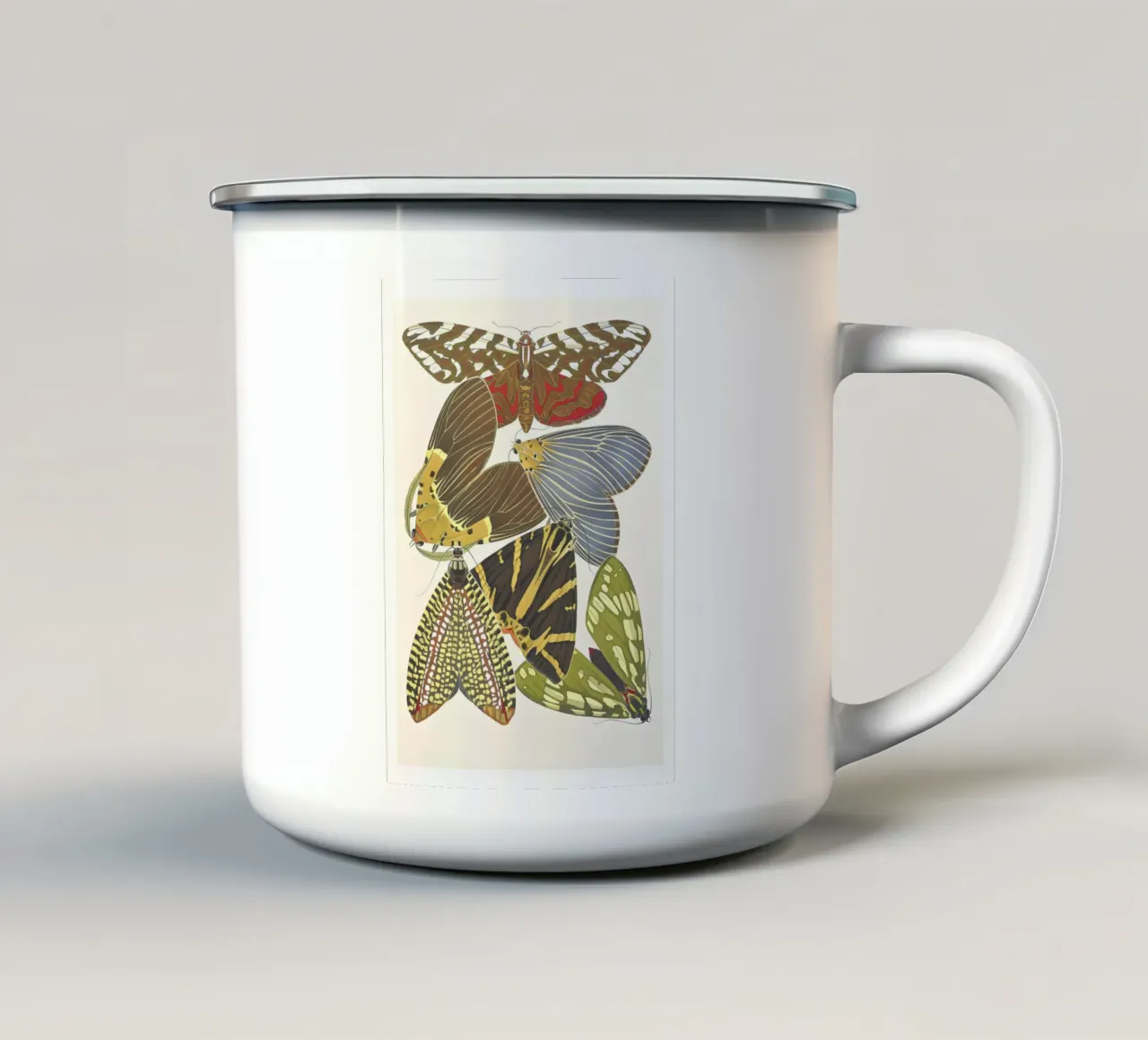 insetti natura entomologia tazza in smalto da Fred Marshall