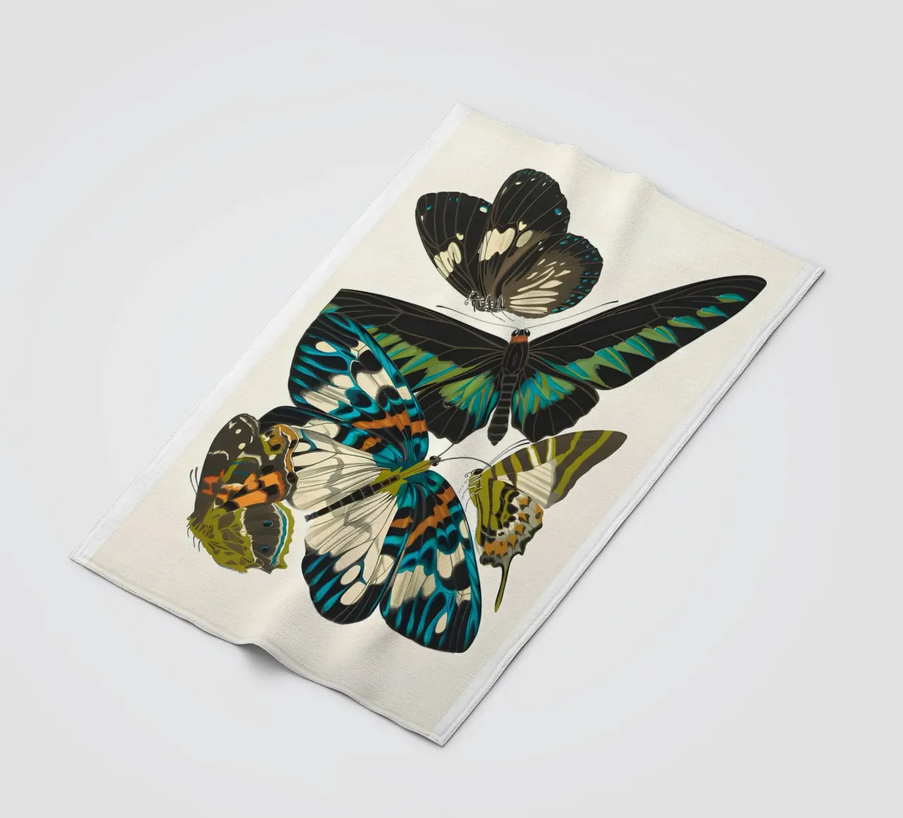 farfalla insetti natura coperta in pile da Fred Marshall