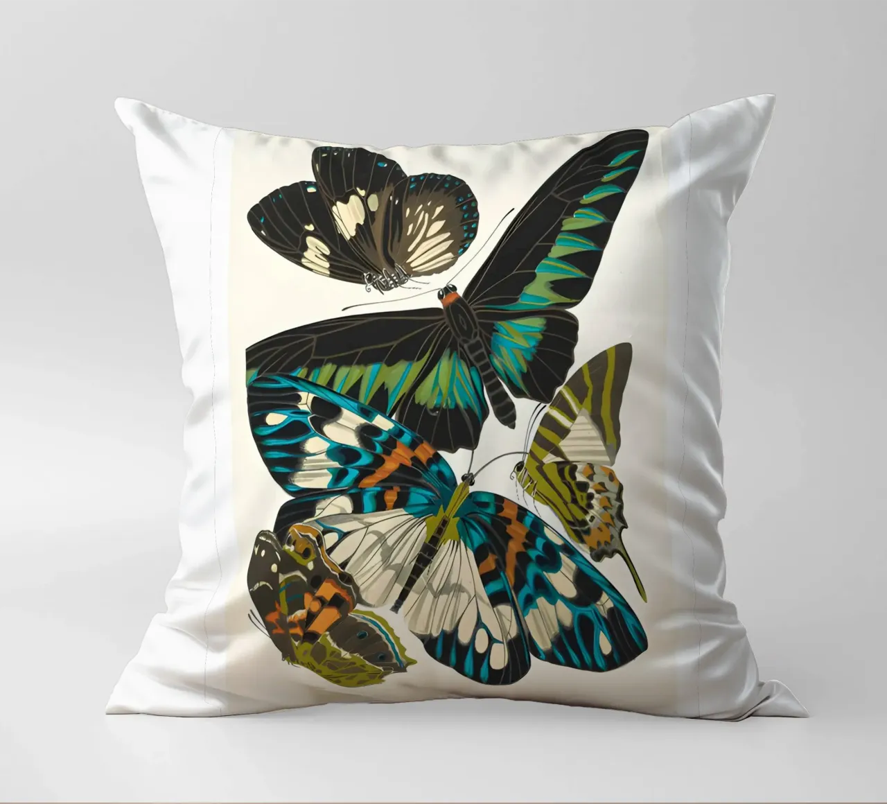farfalla insetti natura cuscino da Fred Marshall