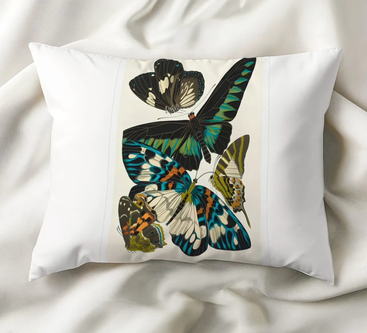 farfalla insetti natura cuscino da Fred Marshall
