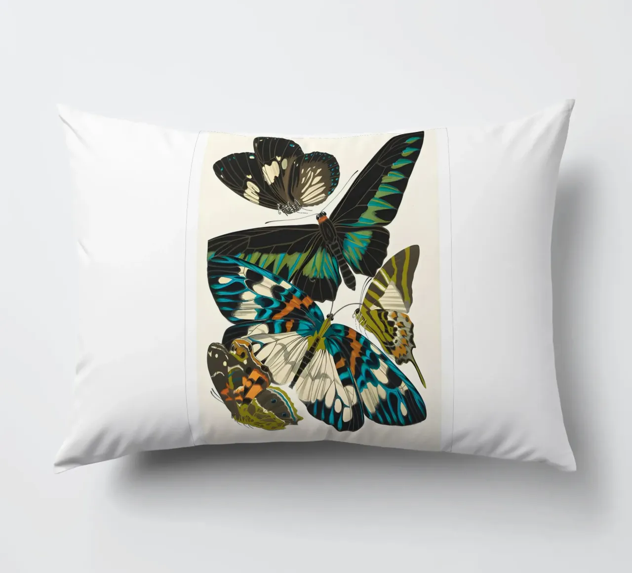 farfalla insetti natura cuscino da Fred Marshall