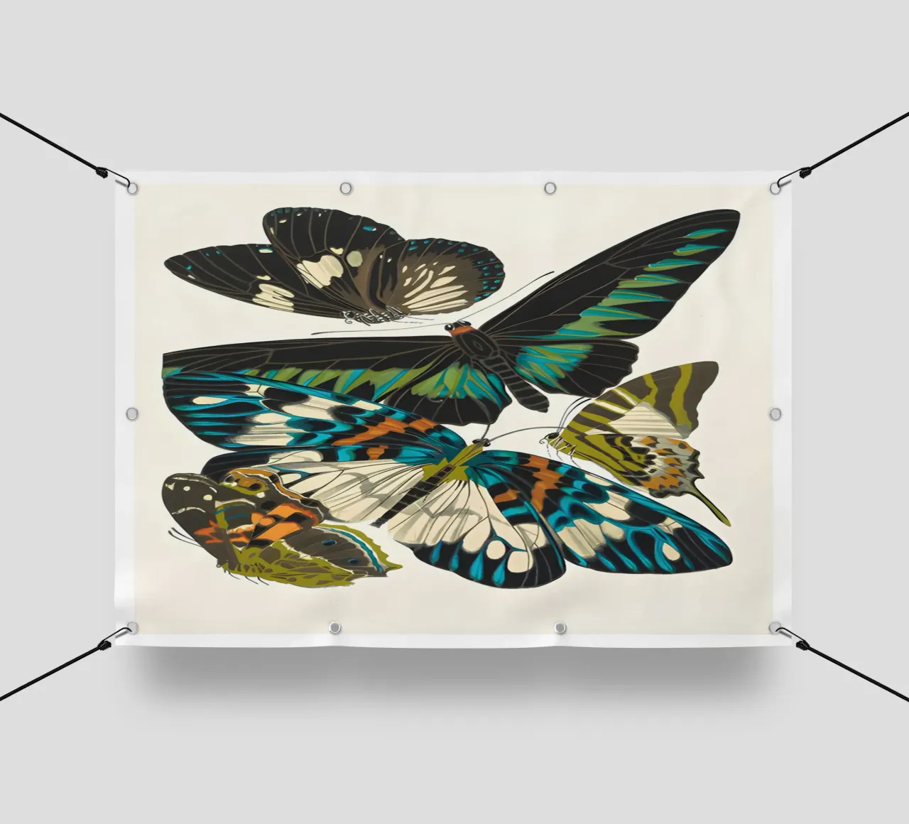 farfalla insetti natura telo in pvc da Fred Marshall